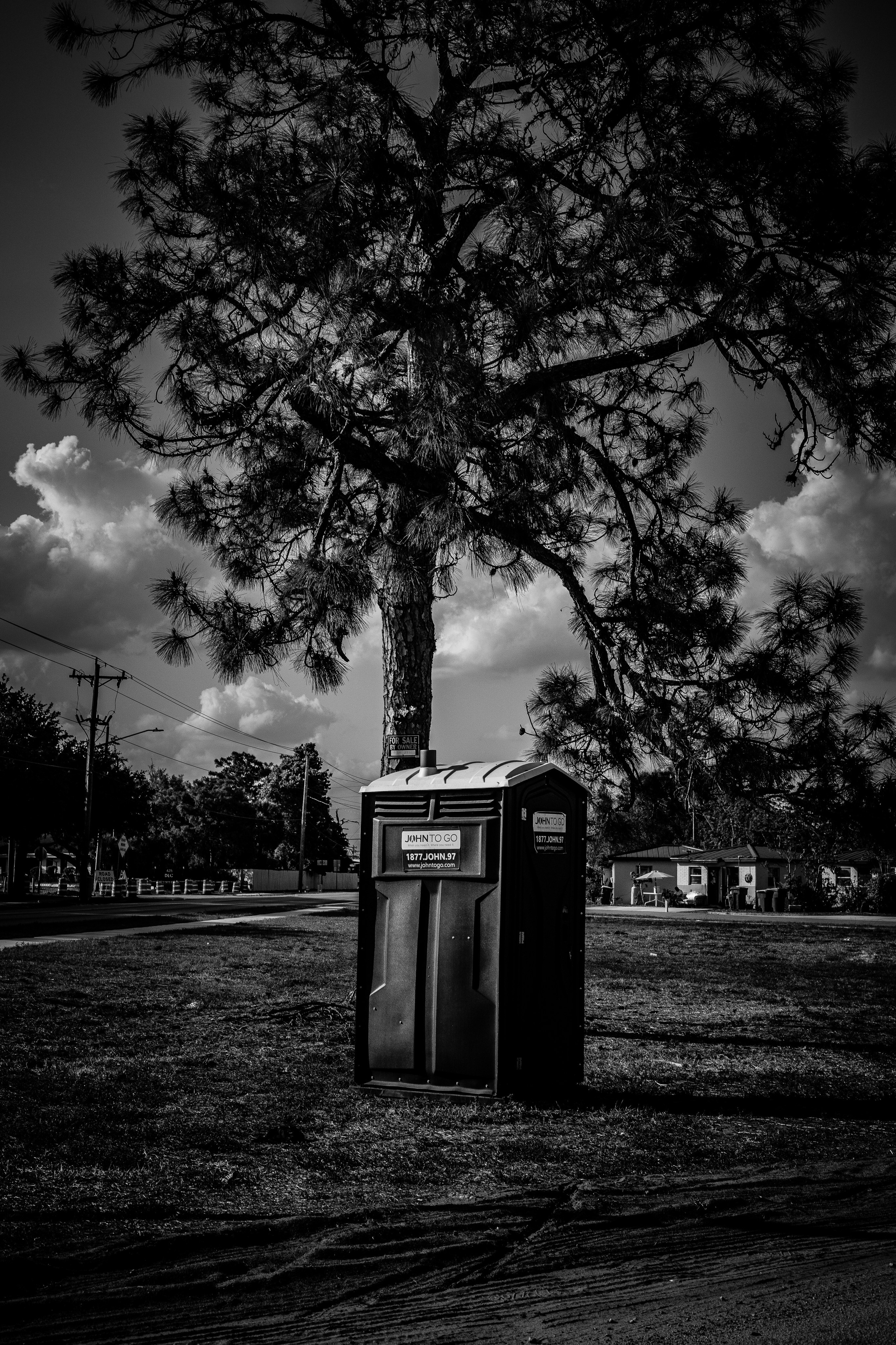 Americana — Immokolee. Out and About 239