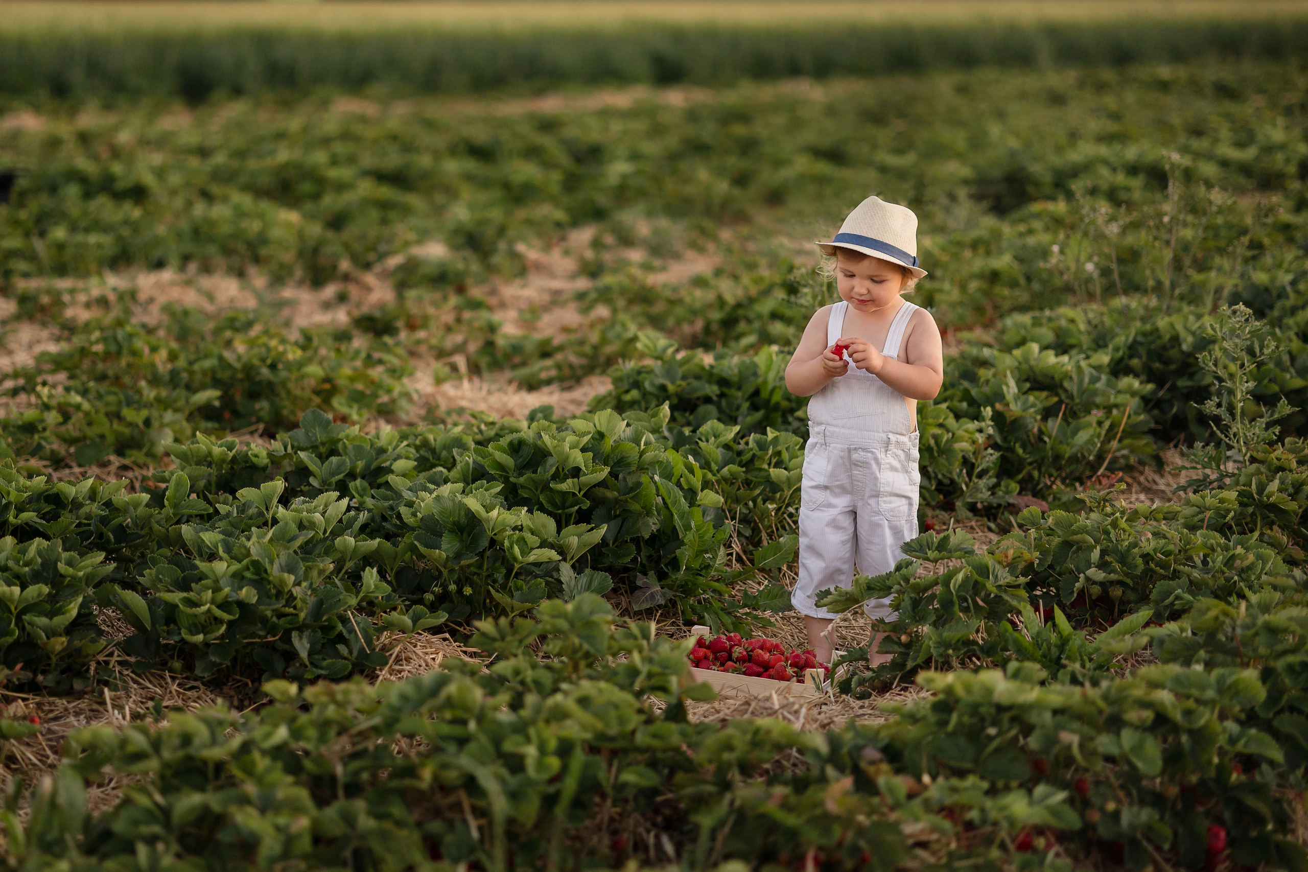 Kinder. Kinder- und Familienfotografin