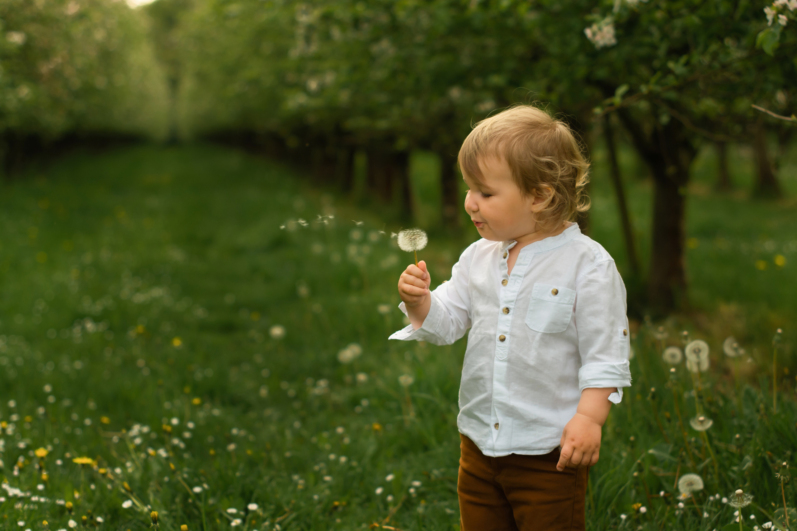 Kinder. Kinder- und Familienfotografin