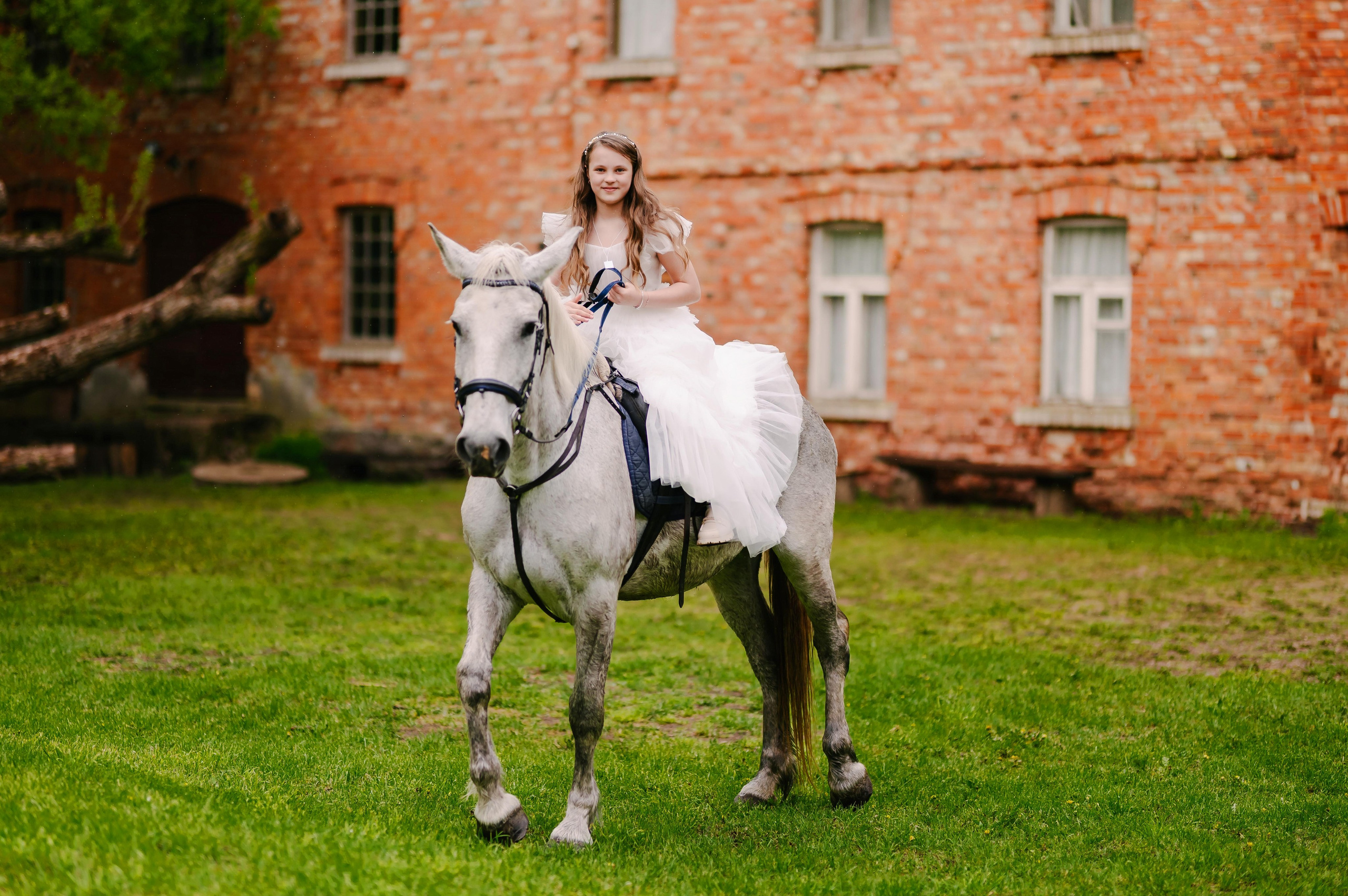 Liepos komunija. Rokas Baranauskas fotografija