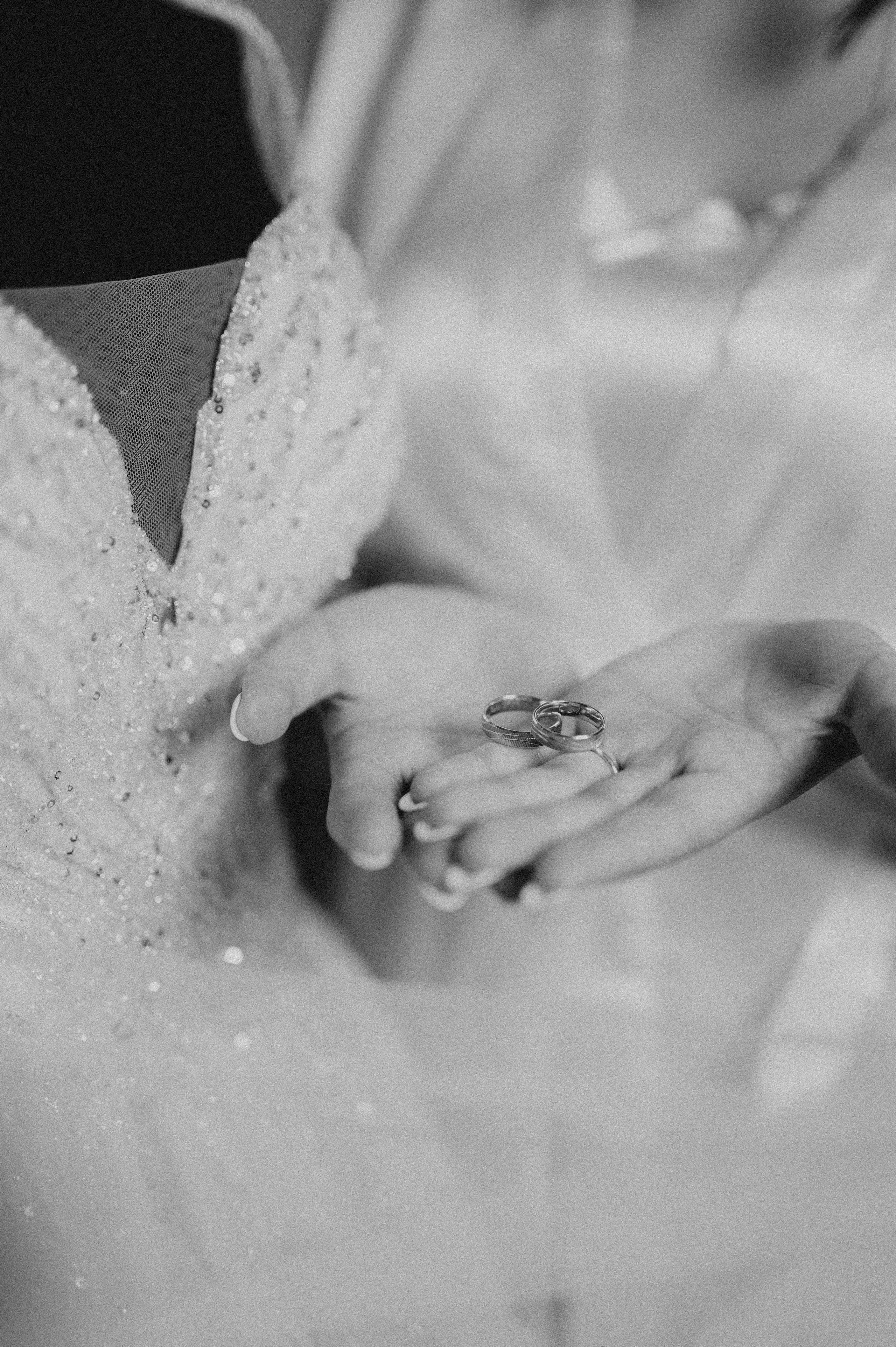 Maria + Gabriel| Salon Fiesta. FotoVizion Iași