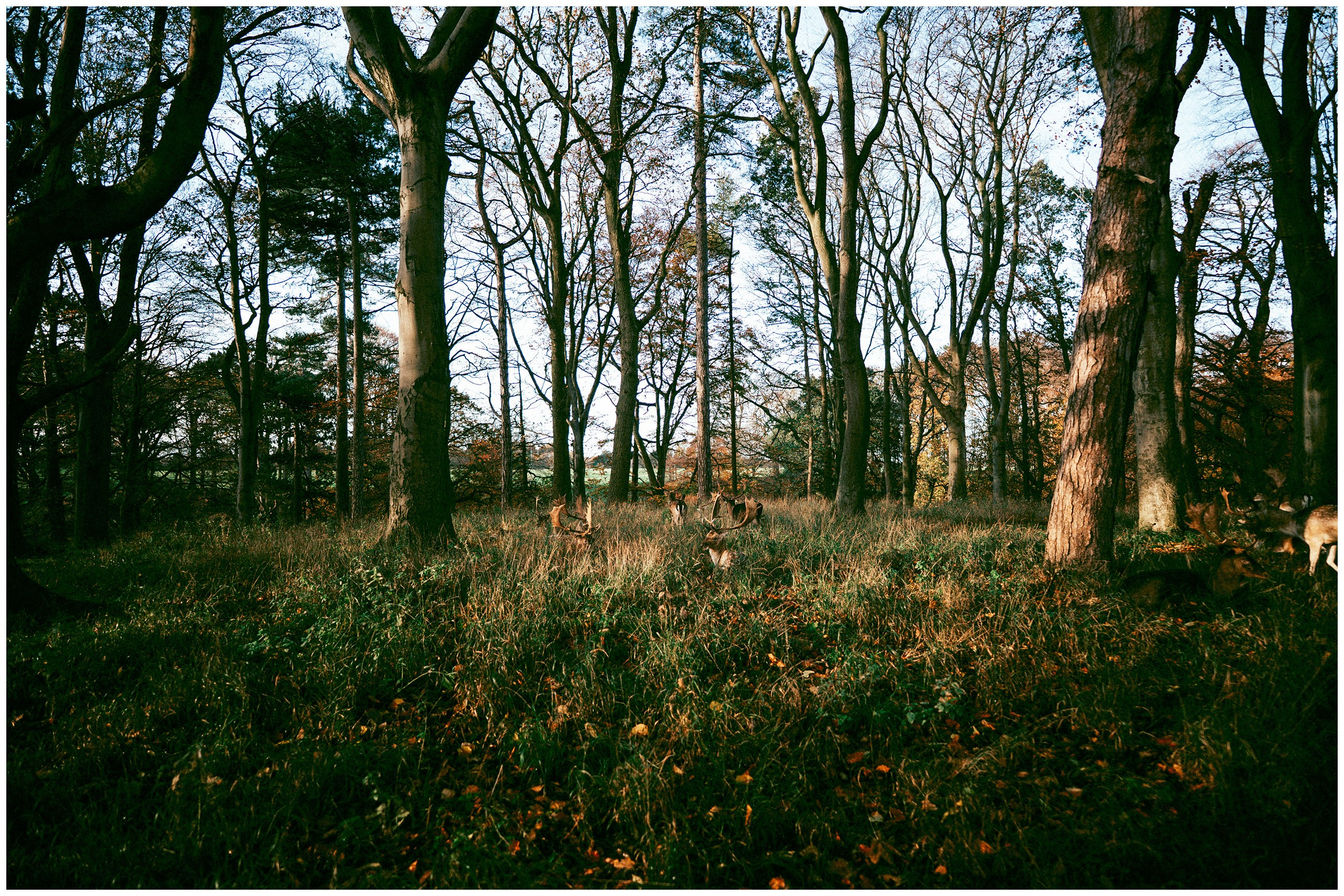 IRELAND. Inna Mendelson — Photographer