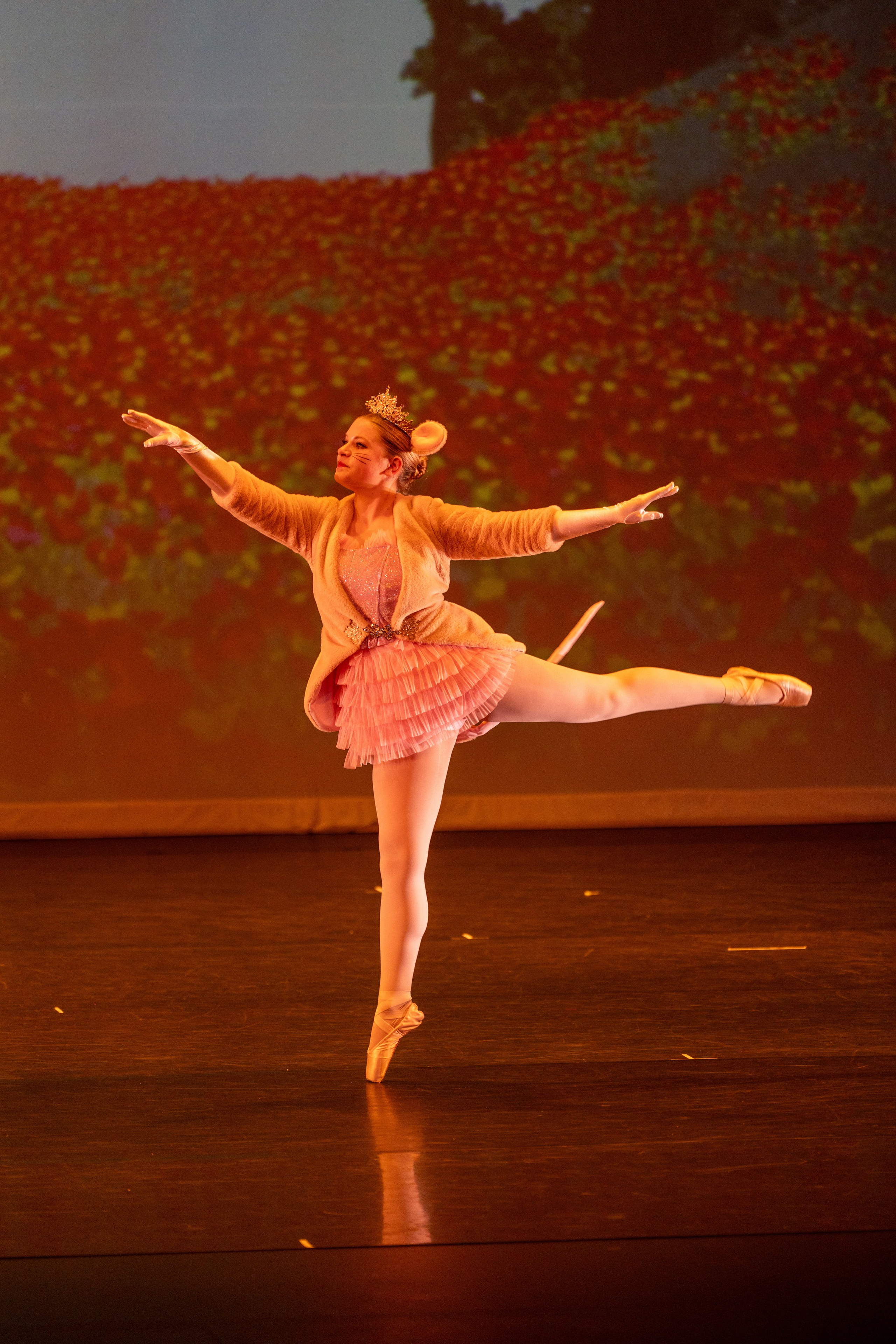 Ballet Photographer Los Angeles. Santa Clarita Photographer