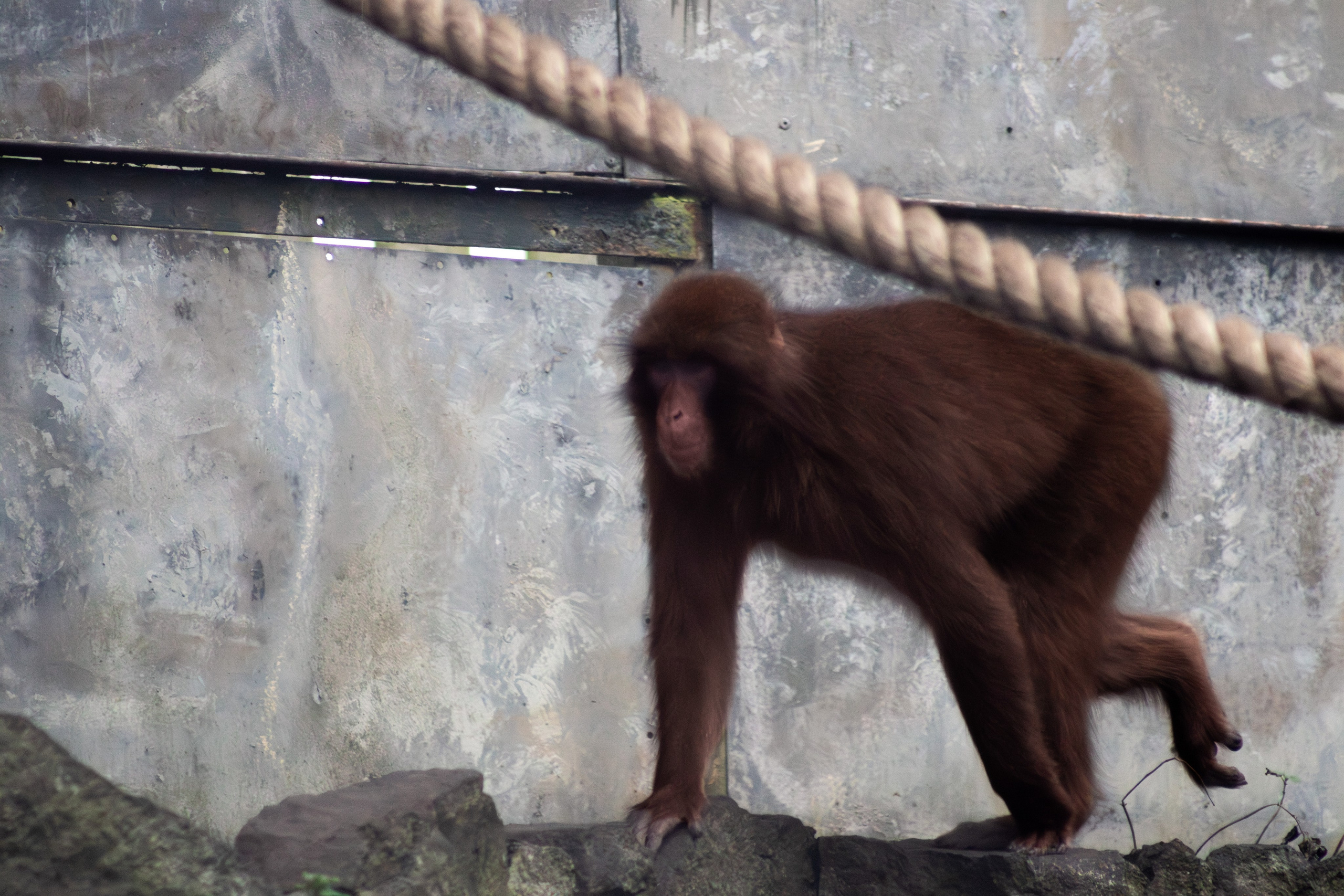 Nature. Portrait and Street photographer in Vilnius Edgar Shaipunas