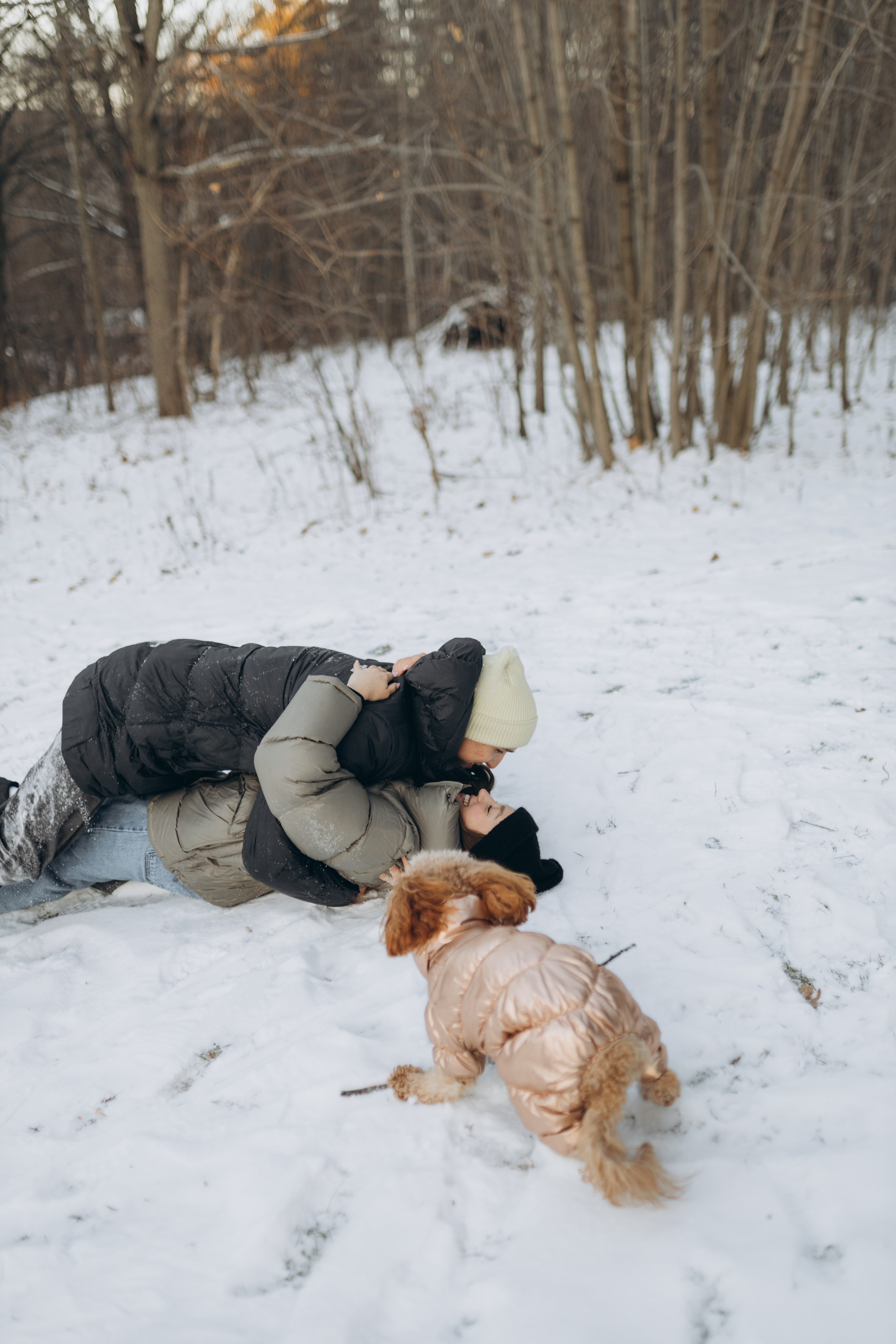 Winter magic. Chernenko.photography