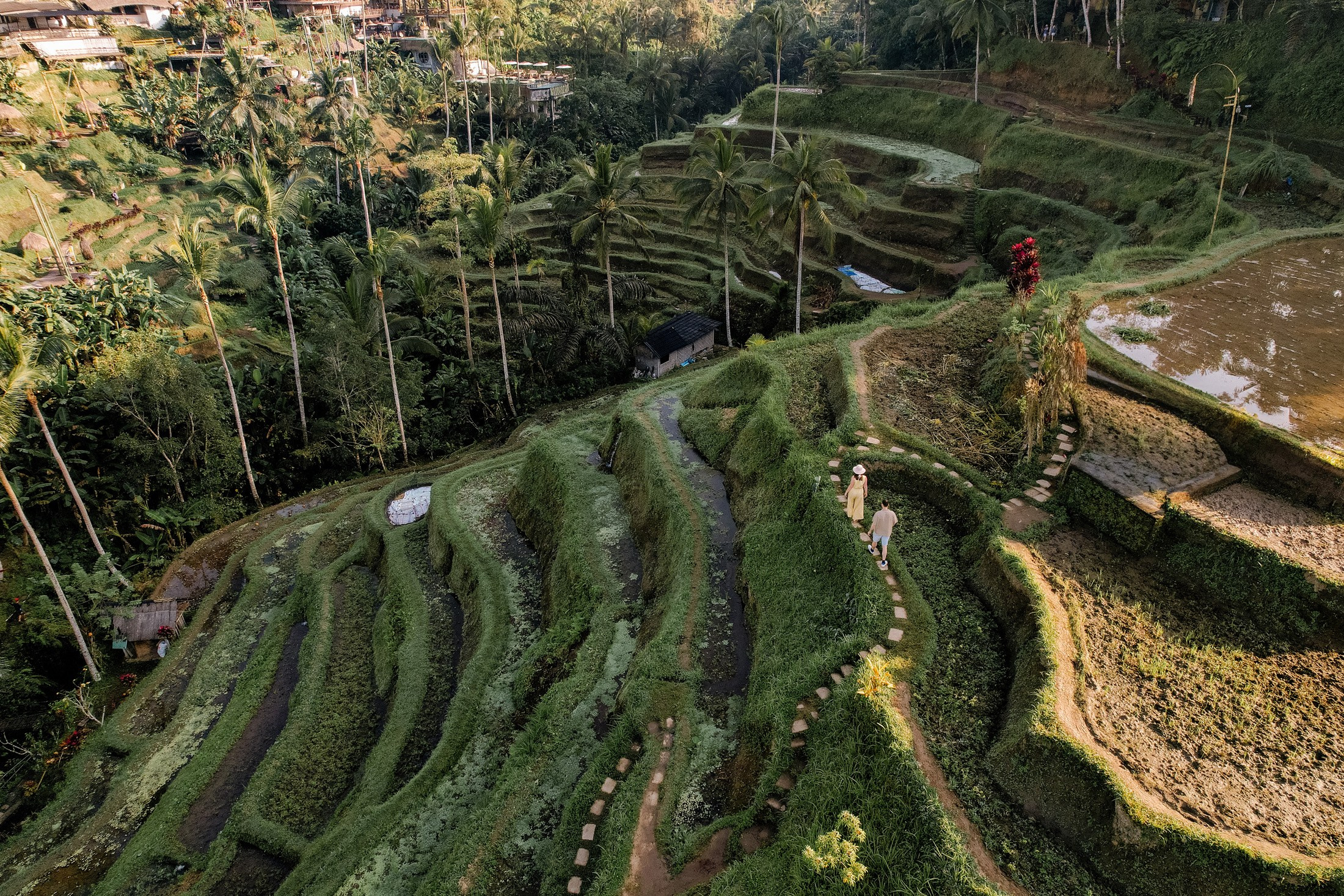 Rice Terraces. Getitfeel — Aesthetic Photography and Videography