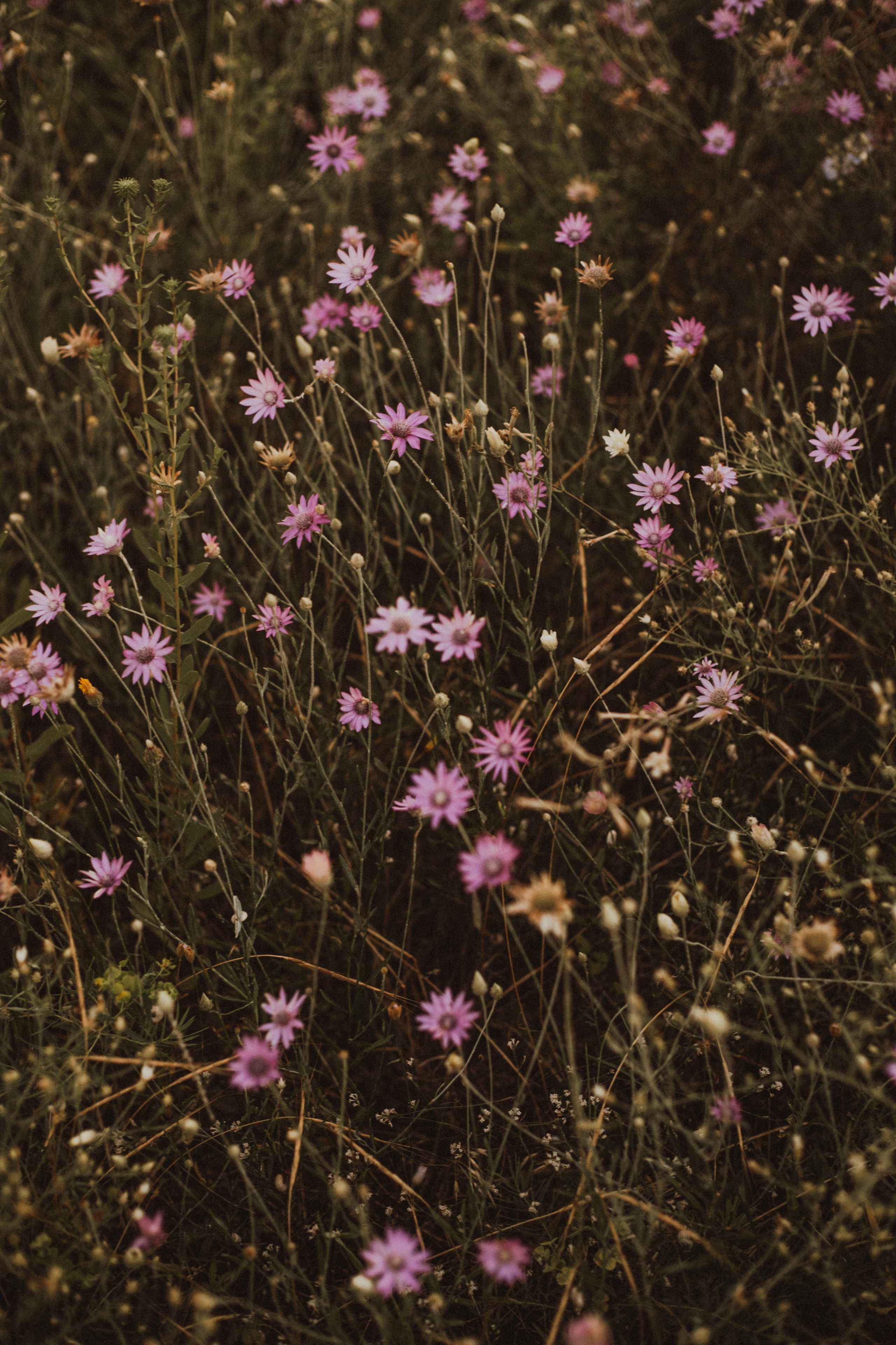 NURAN. Fotograf Mykhalchuk Inna Kraków