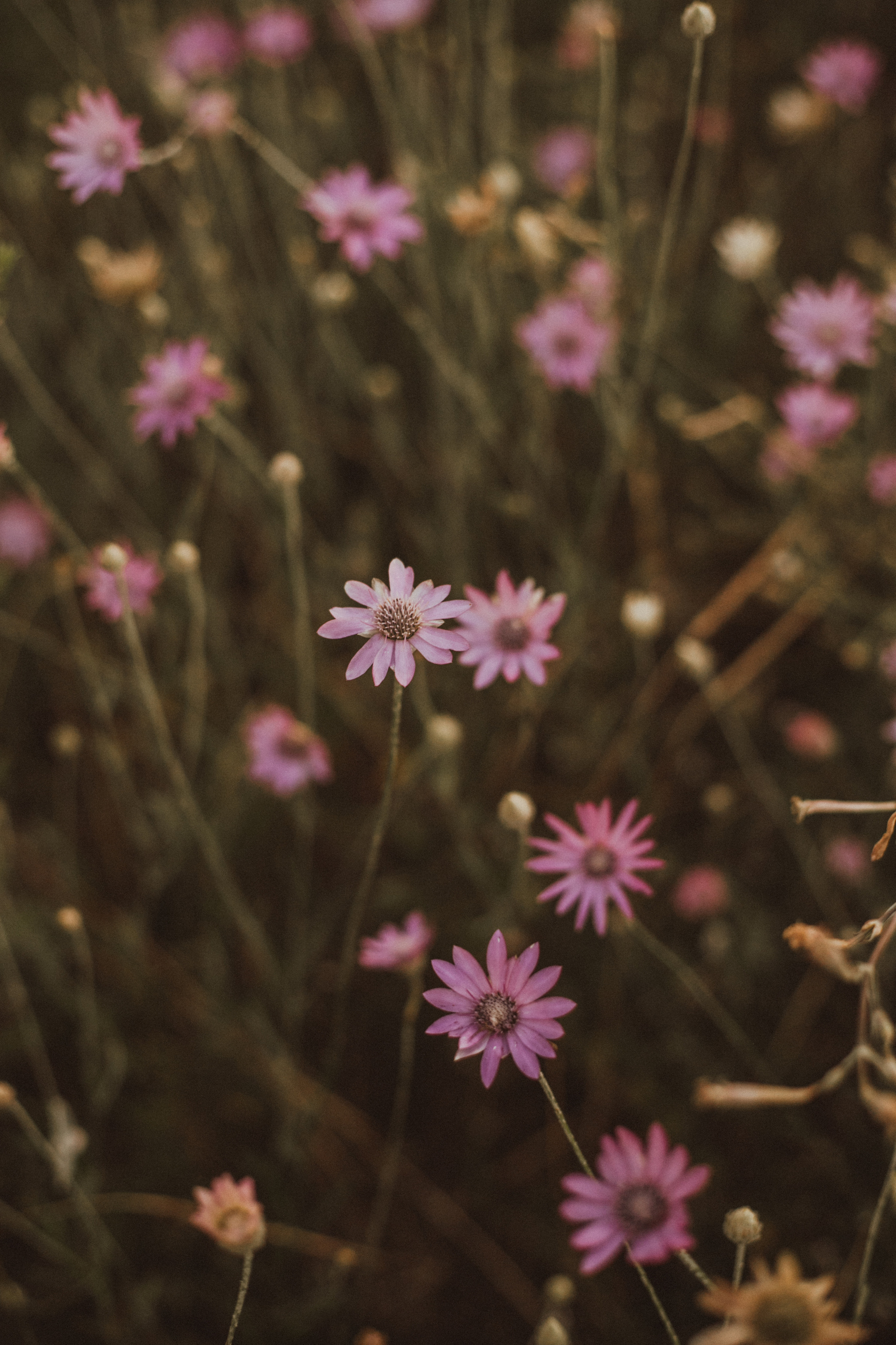 NURAN. Fotograf Mykhalchuk Inna Kraków