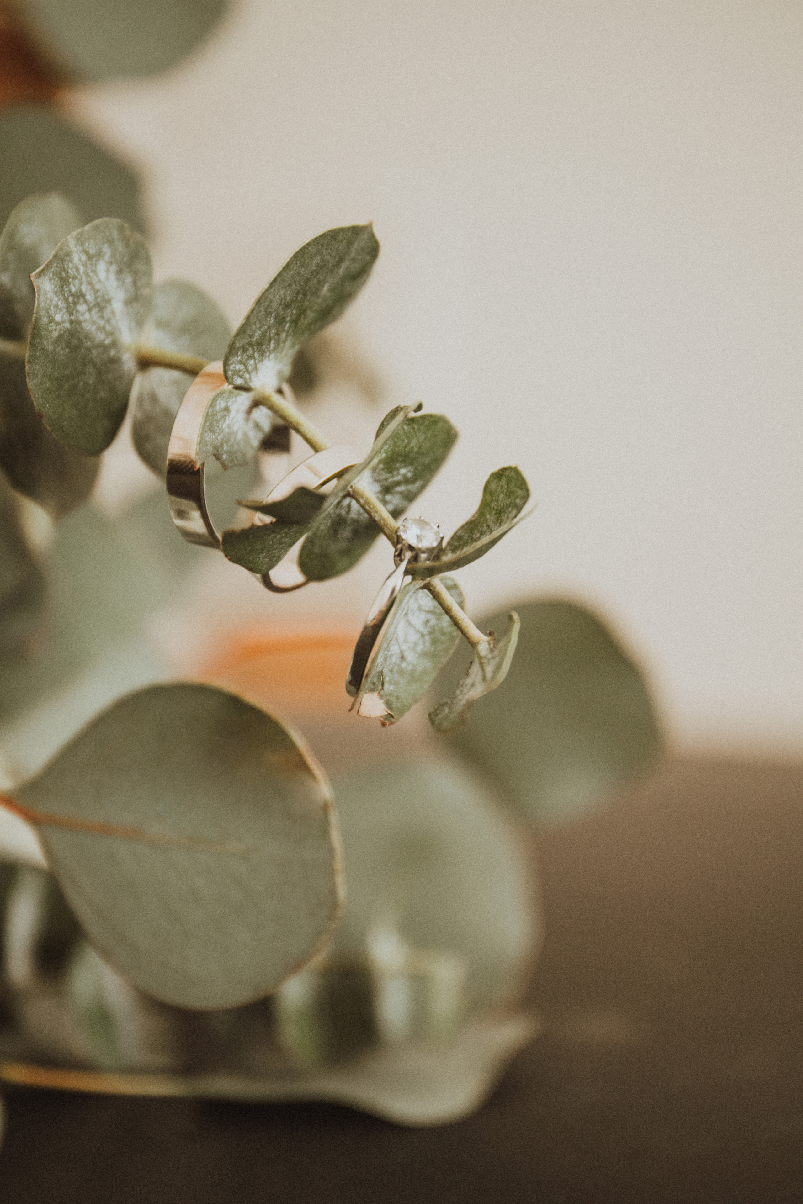 MARINA OLEG. Fotograf Mykhalchuk Inna Kraków