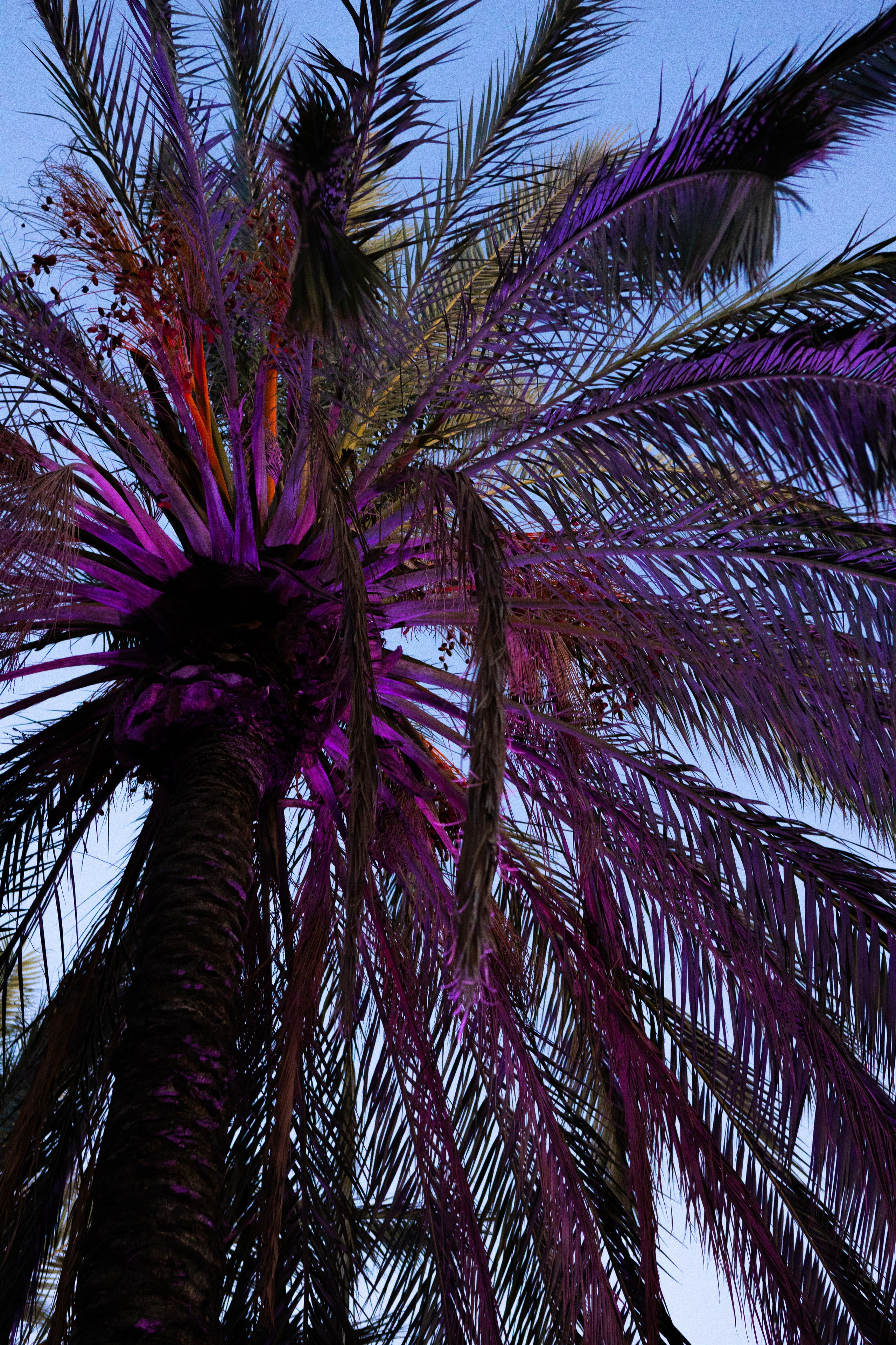 Wedding Valencia. Фотограф в Испании, Валенсия