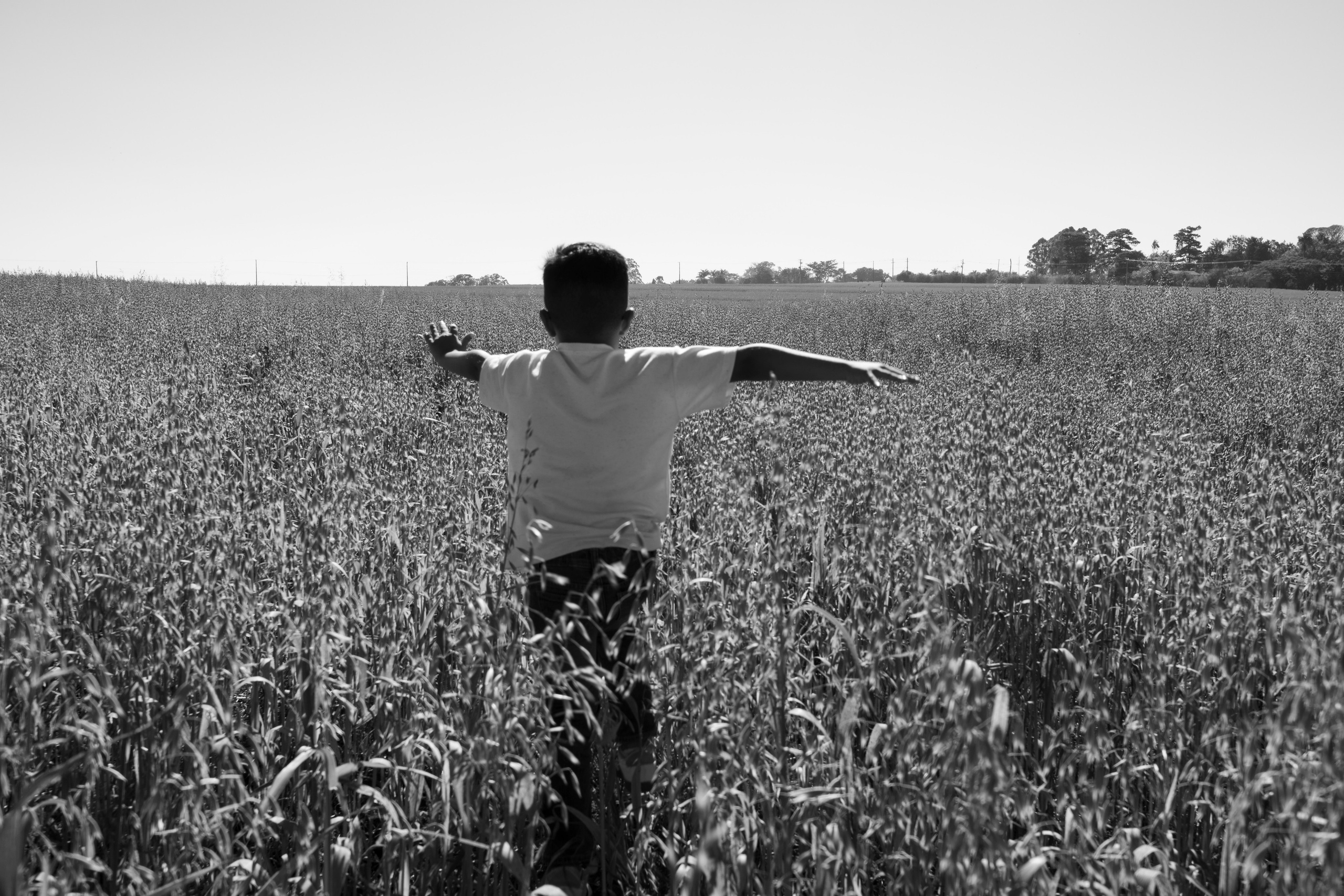 Família Priscila & Renan. Eduardo Fedalto Fotógrafo em Santa Barbara D’Oeste e Americana — SP