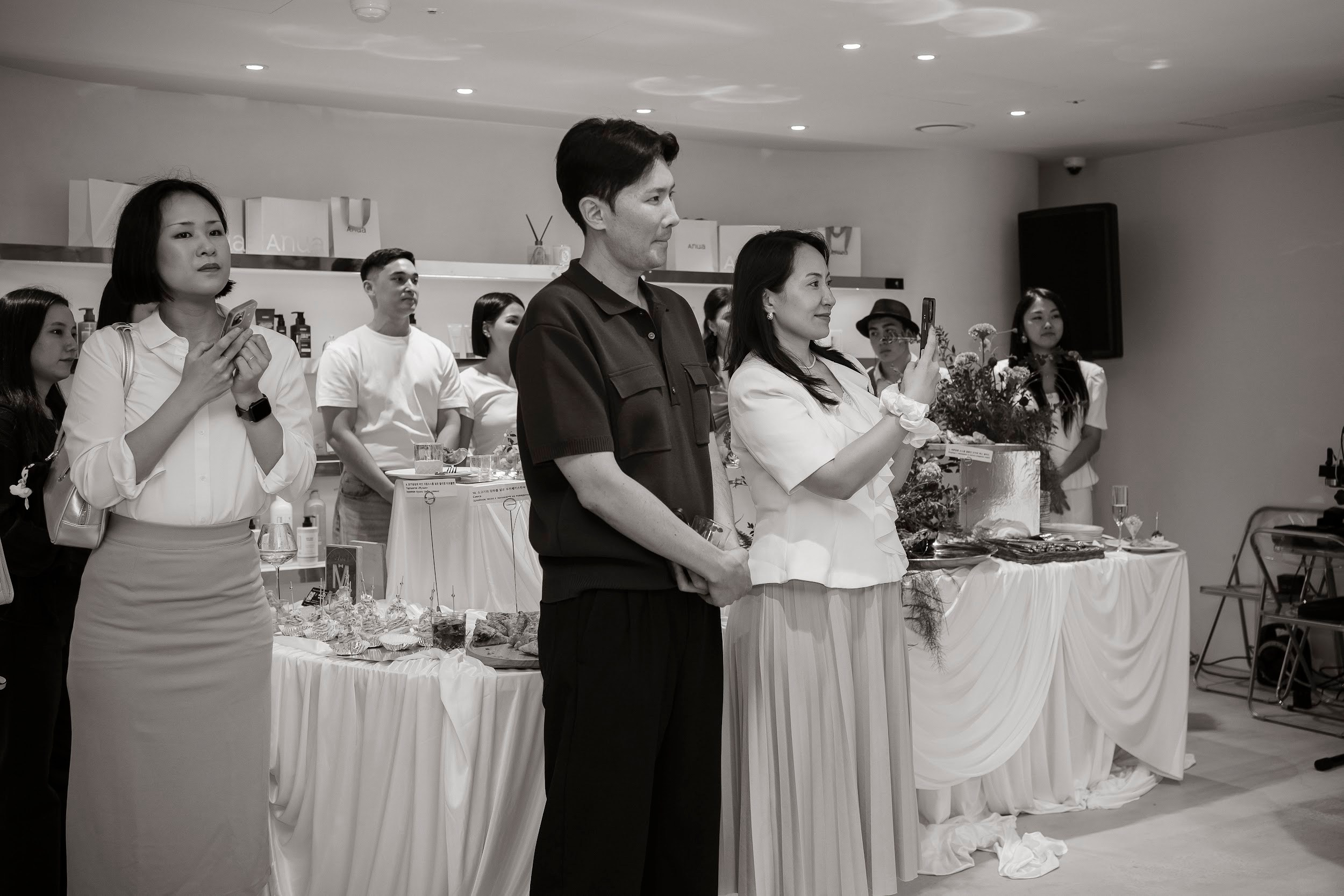 Shintree Distribution/ Grand opening/ 2026. Narnia Decor Studio