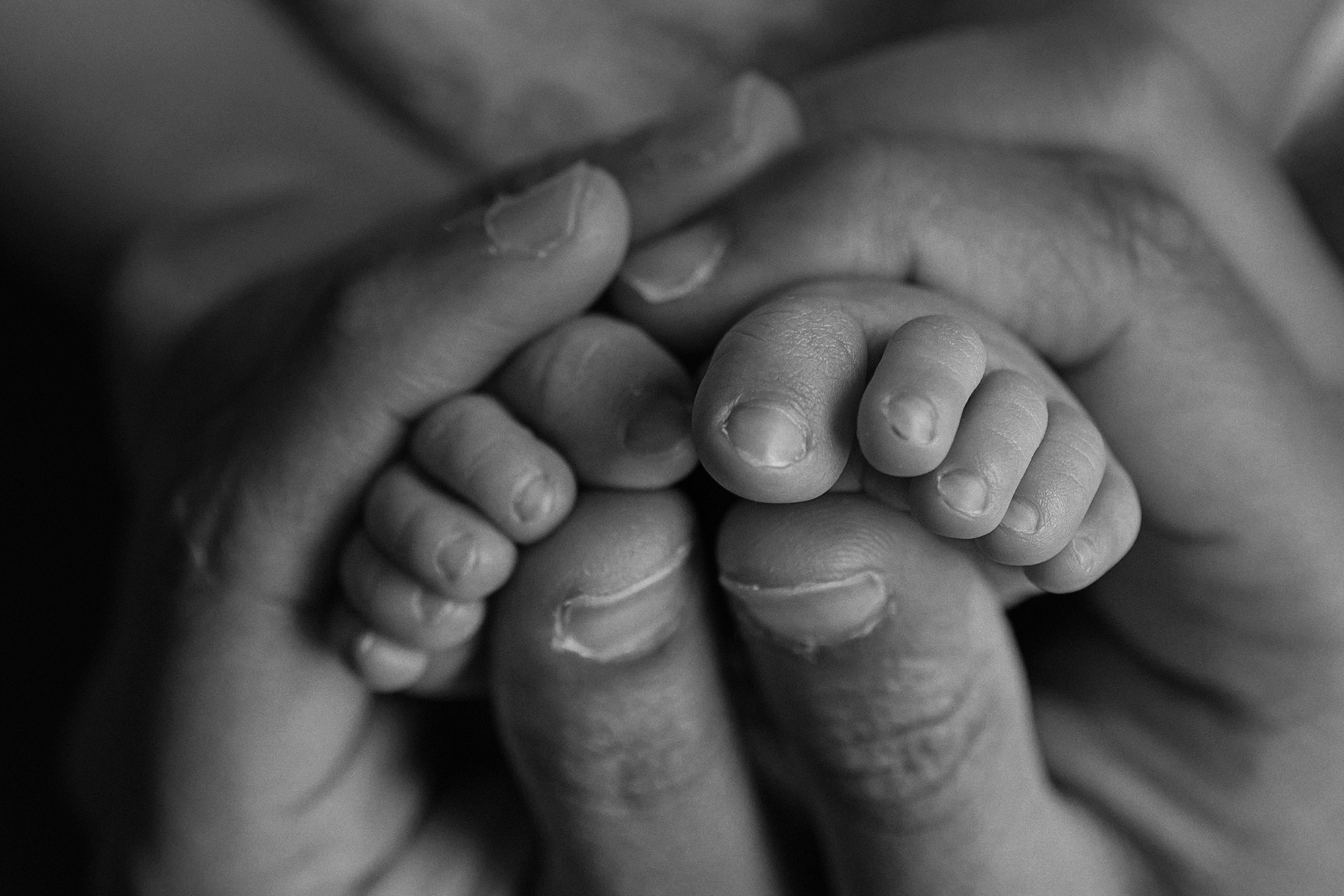 Vihaan 8 days. Newborn, Maternity & Family Photographer in Charlotte, North Carolina | Arhipova Julia