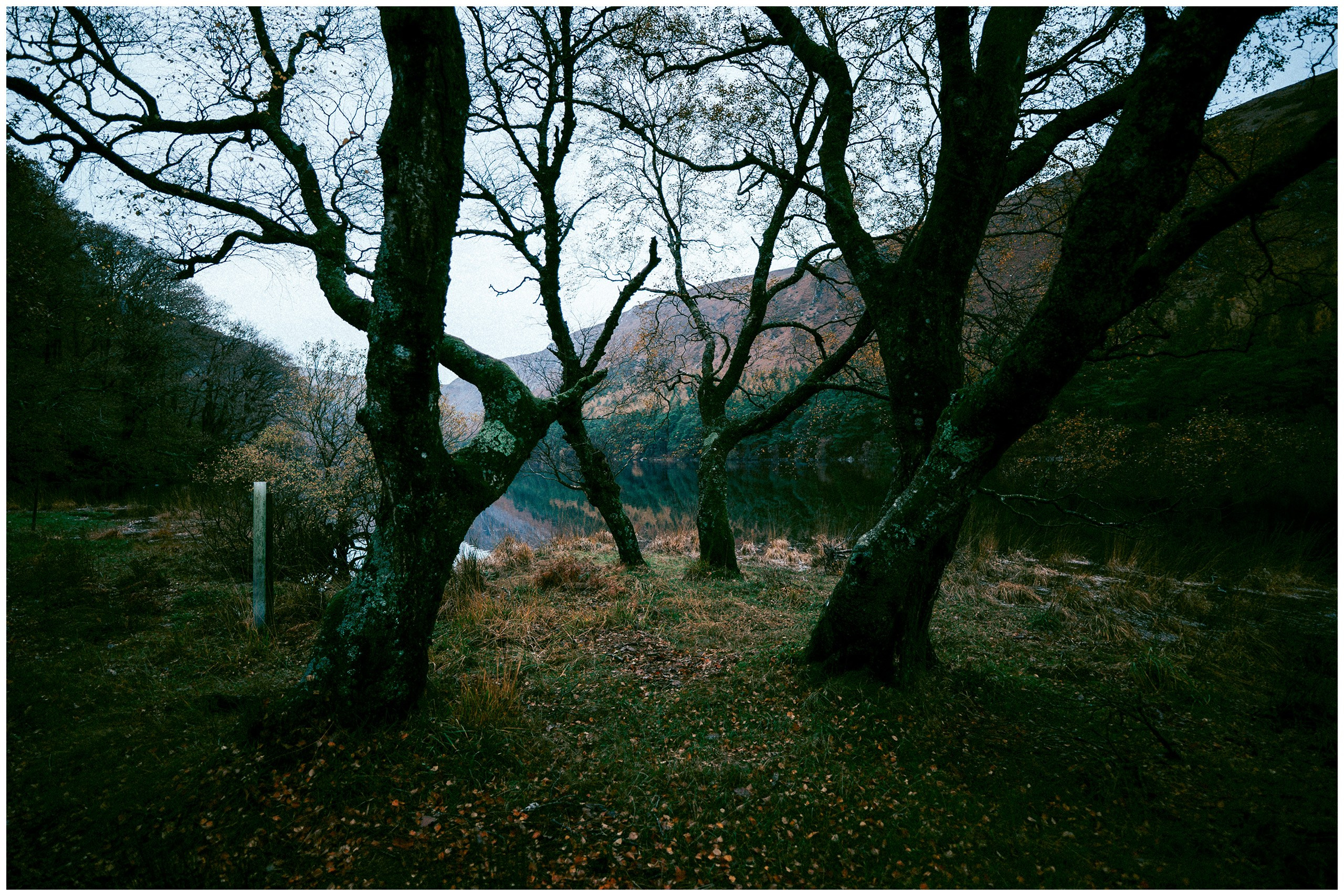 IRELAND. Inna Mendelson — Photographer