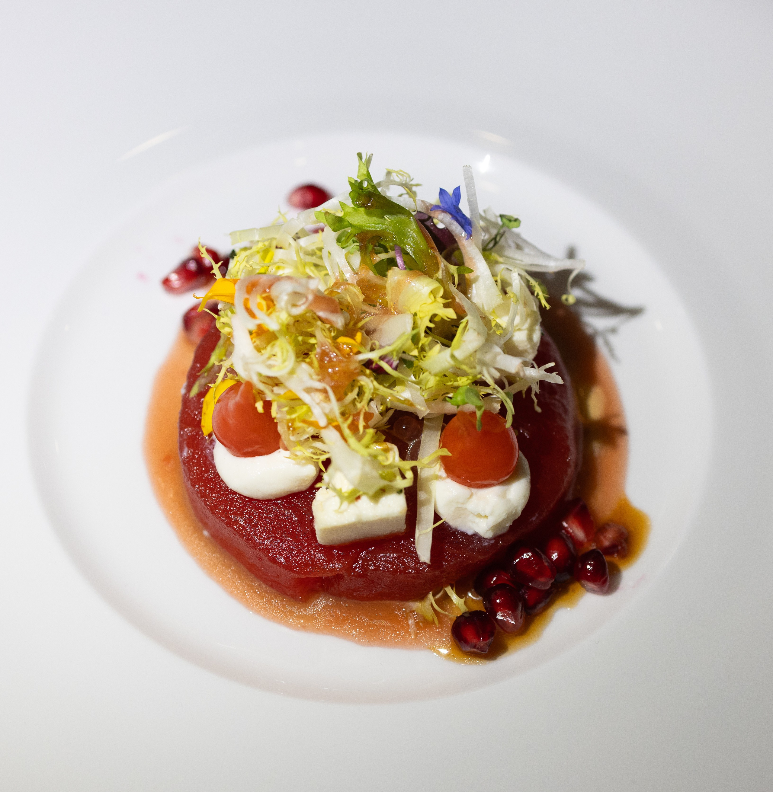 Healing Forces 2025. Out and About 239