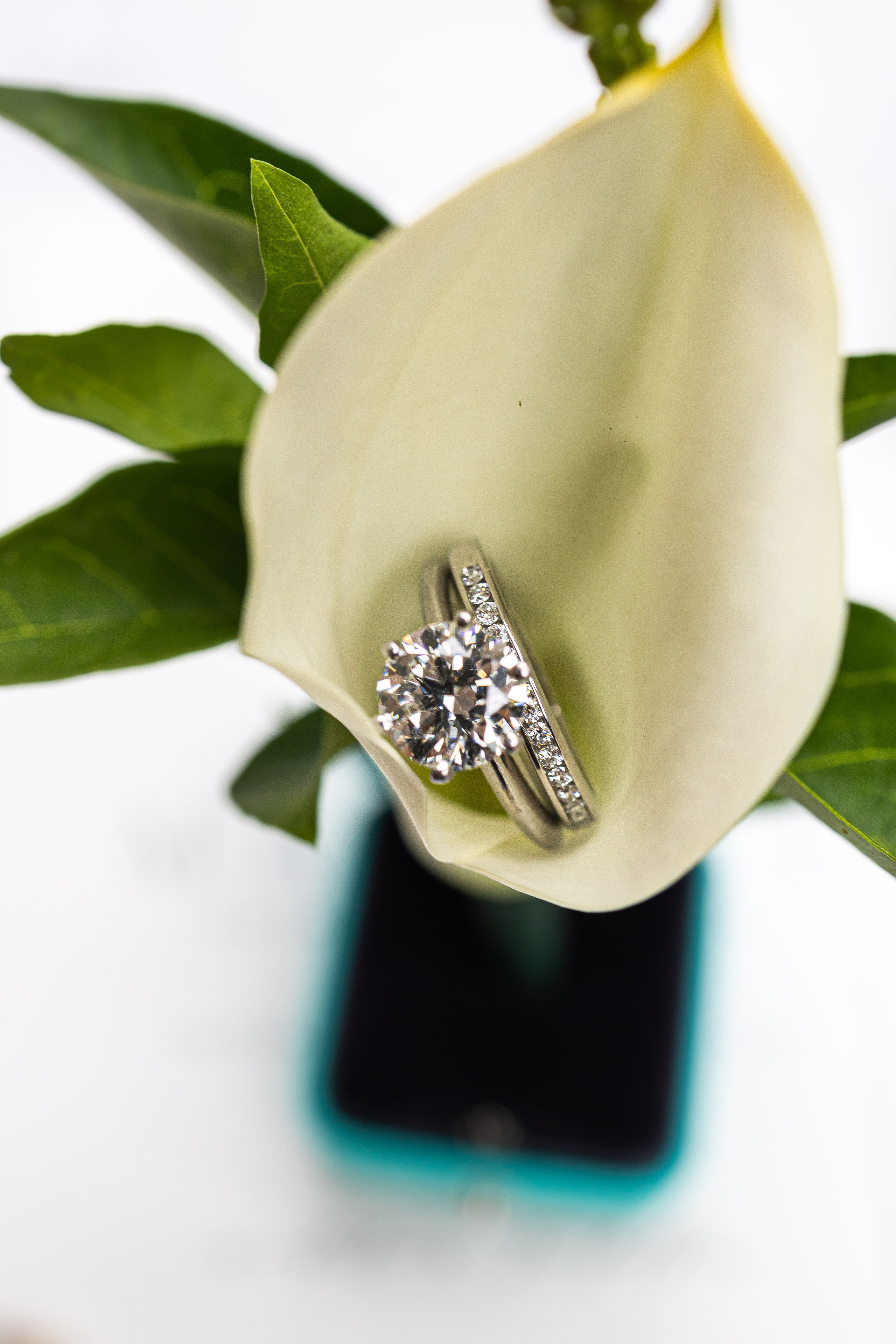 Marlene and Michael. Luxury Wedding Photography and Cinematography