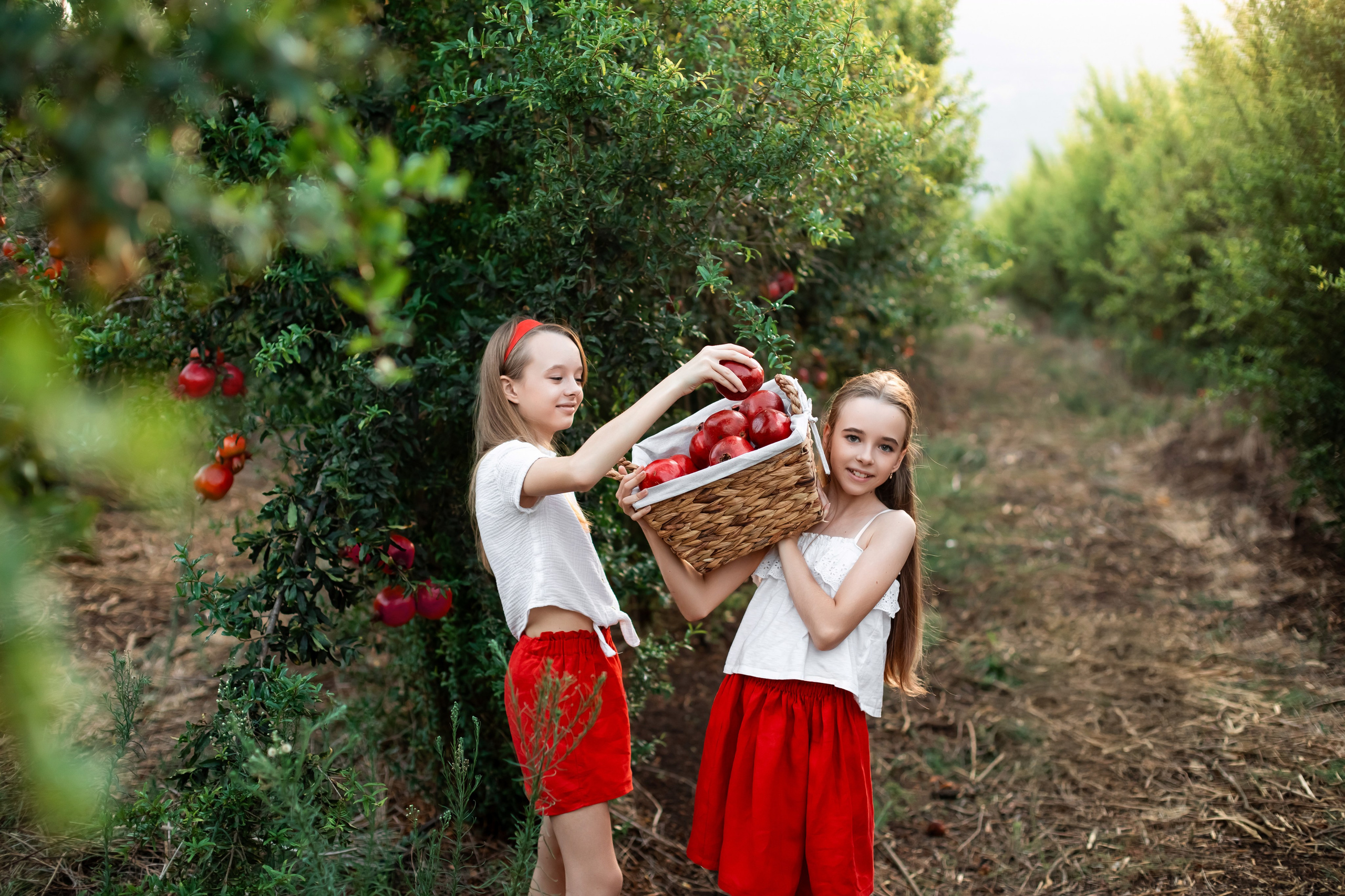 Children’s photoshoot in a pomegranate orchard — photographer Olga Kulik’s blog