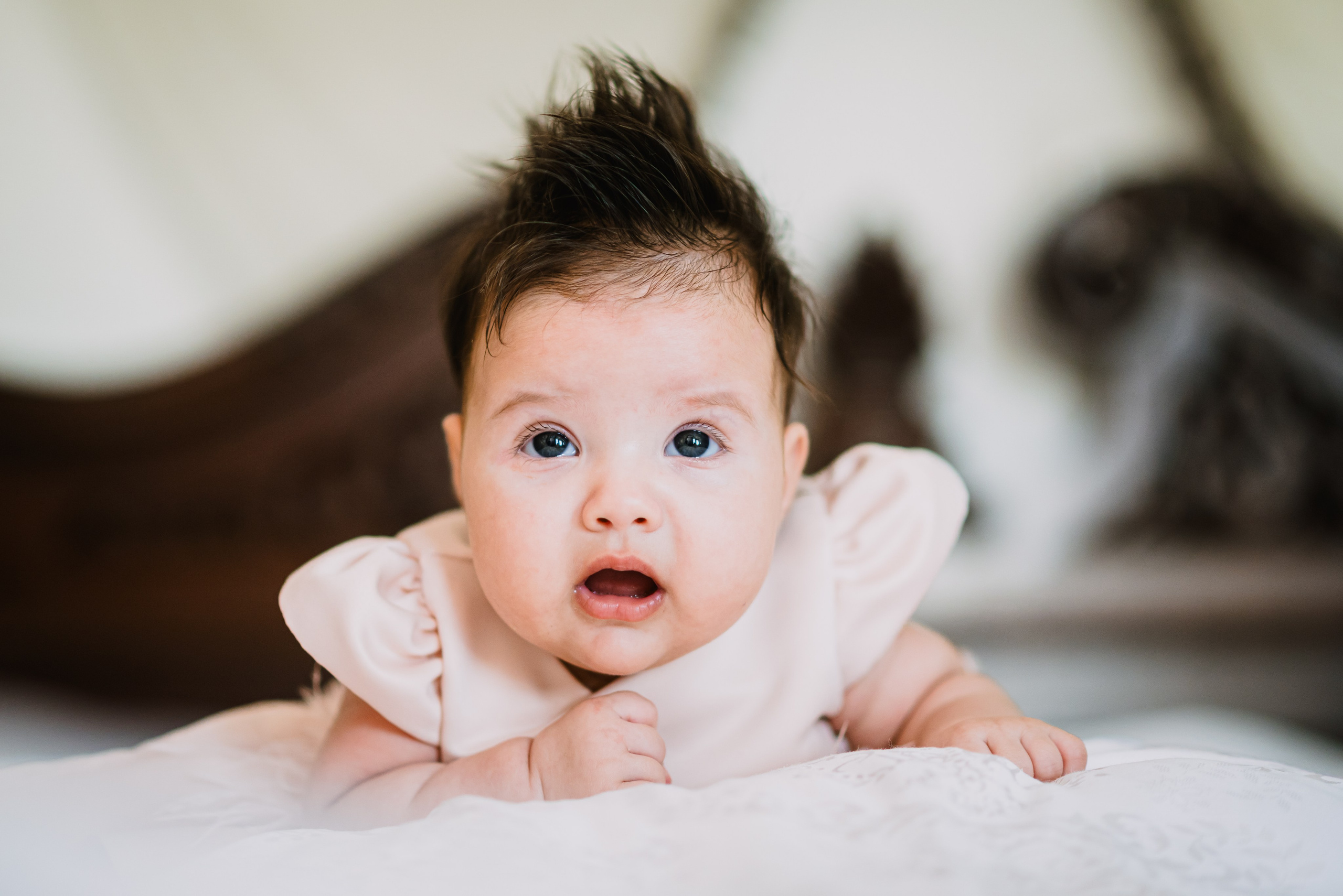 Irina Maria. Giani Maftei