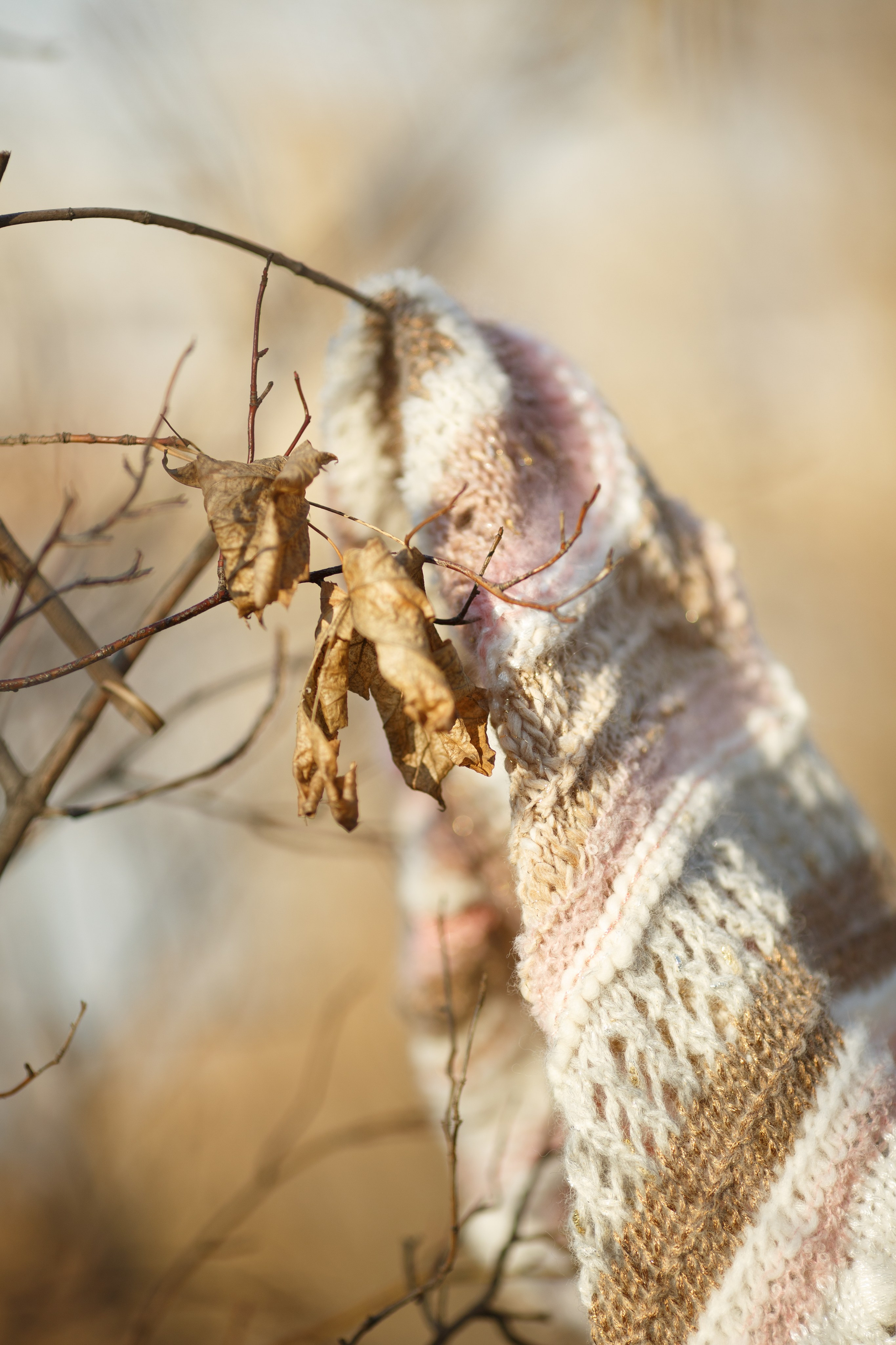 Sviteroff. Autumn collection 2019. Tatiana Smirnova — Photographer