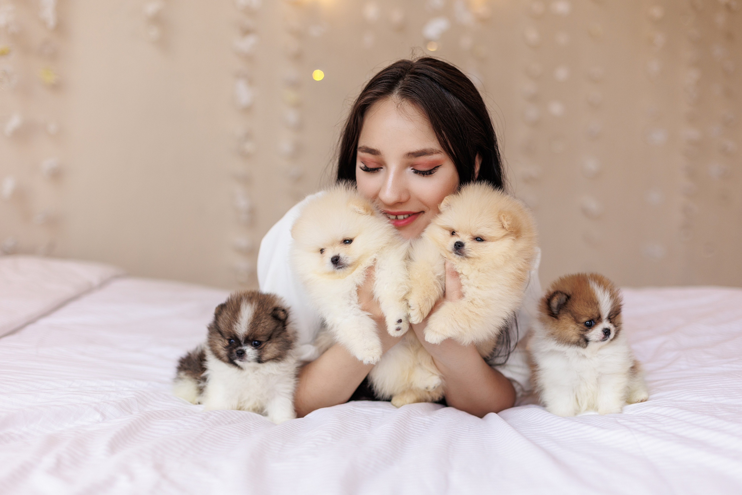Pomeranian puppies. Семейный фотограф в Кишинёве Пулькина Ольга