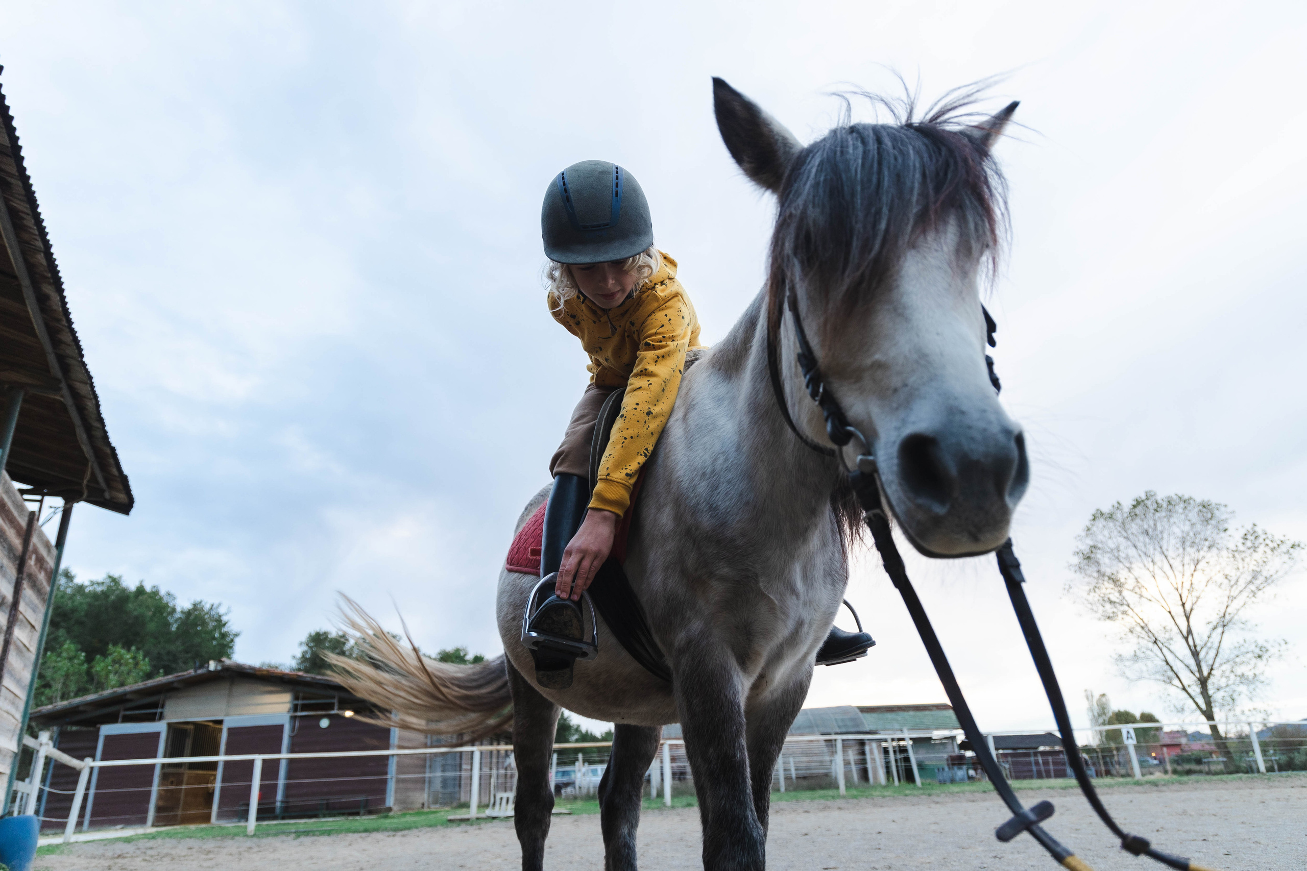 Filip and horses in Italy. Nina Janeckova Photographer and Videographer in Bodensee Ravensburg