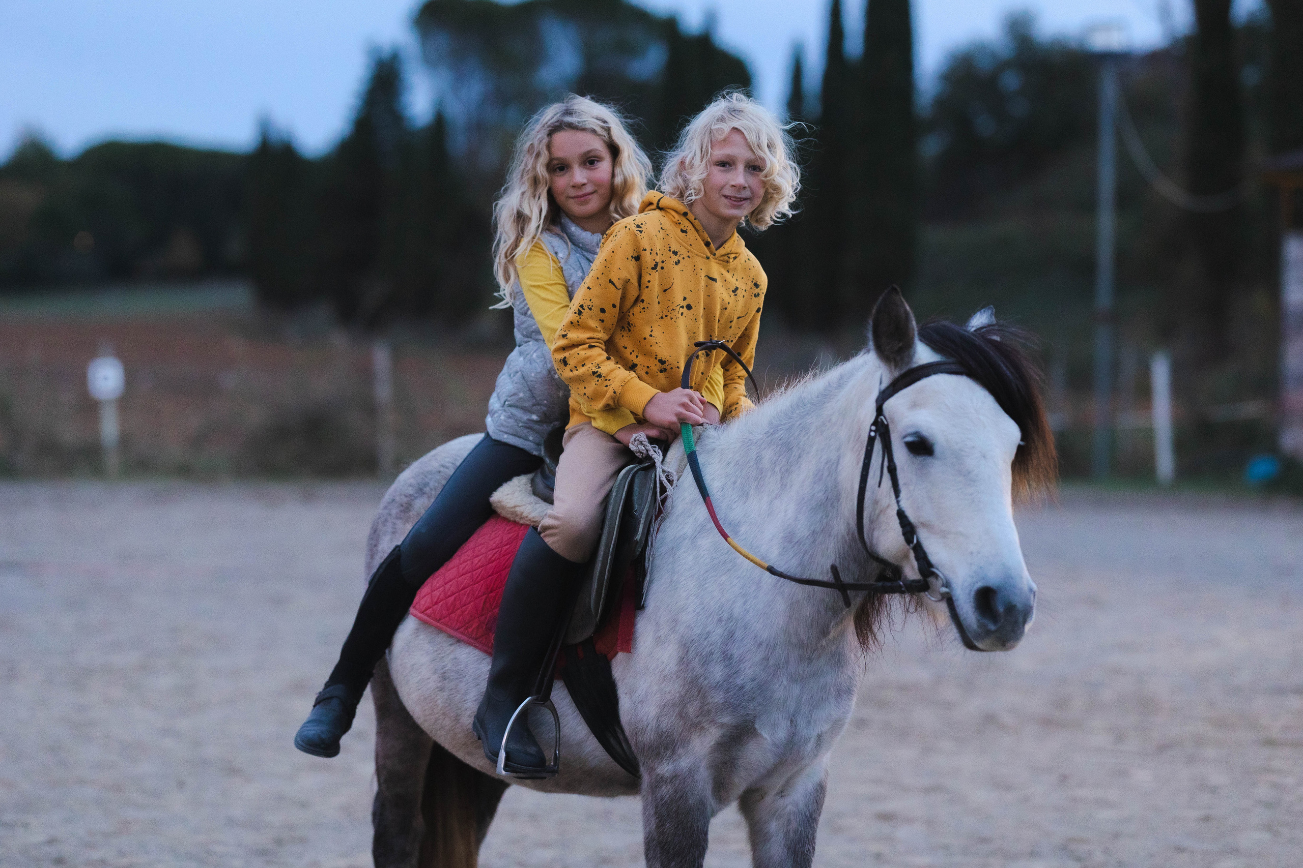 Filip and horses in Italy. Nina Janeckova Photographer and Videographer in Bodensee Ravensburg
