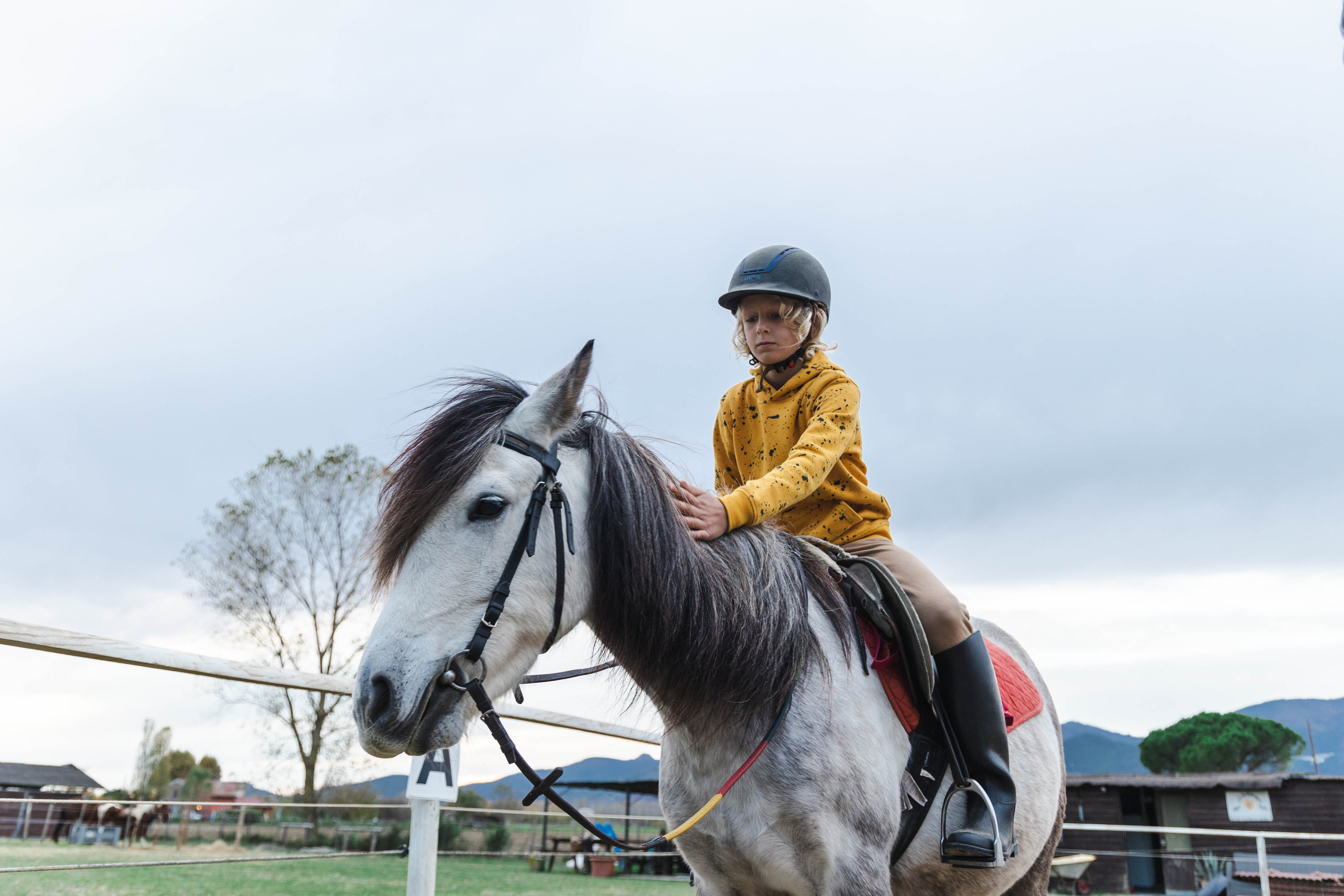 Filip and horses in Italy. Nina Janeckova Photographer and Videographer in Bodensee Ravensburg