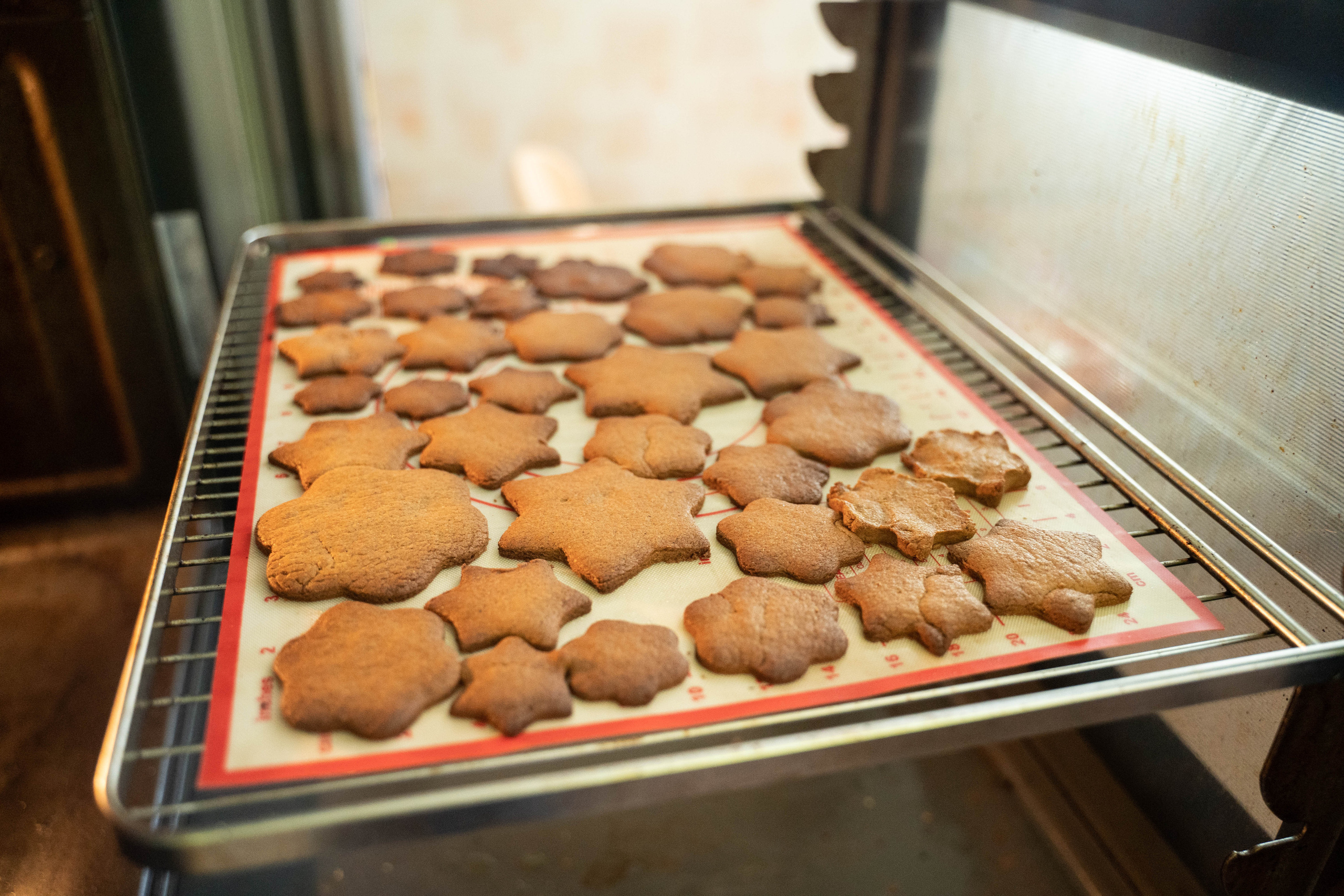 Family of Yuliya. Nina Janeckova Photographer and Videographer in Bodensee Ravensburg