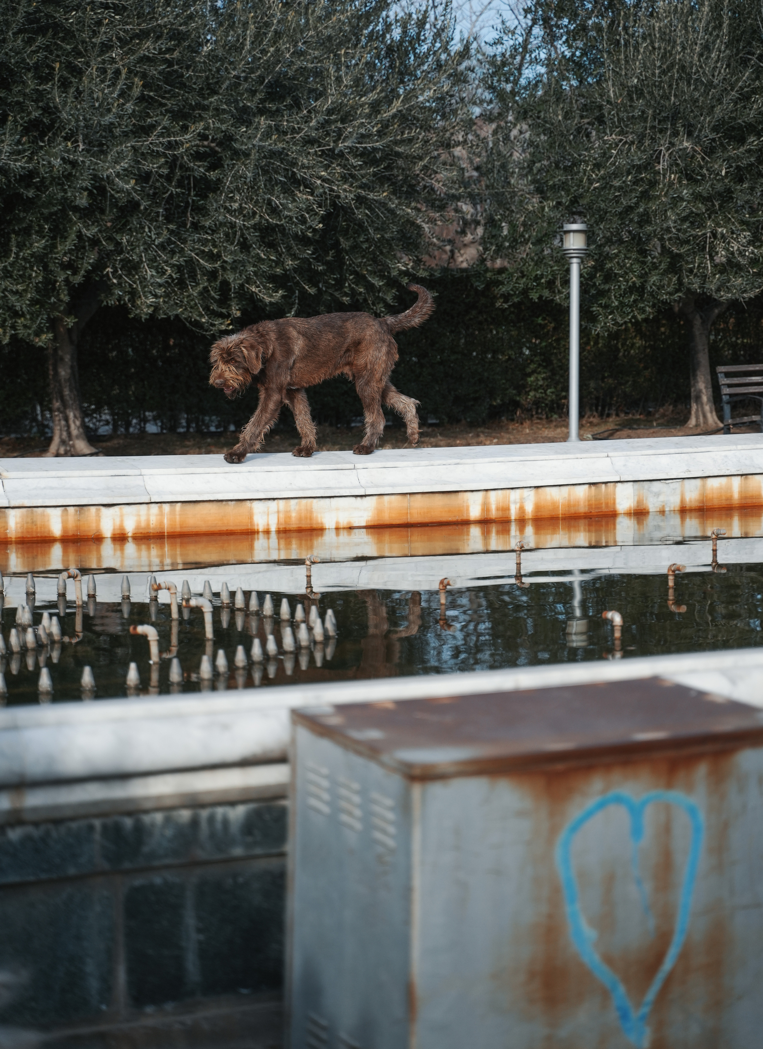 ТБИЛИСИ 2023-2024. Стрит-фотография, полная абсурда, идиотизма и красоты