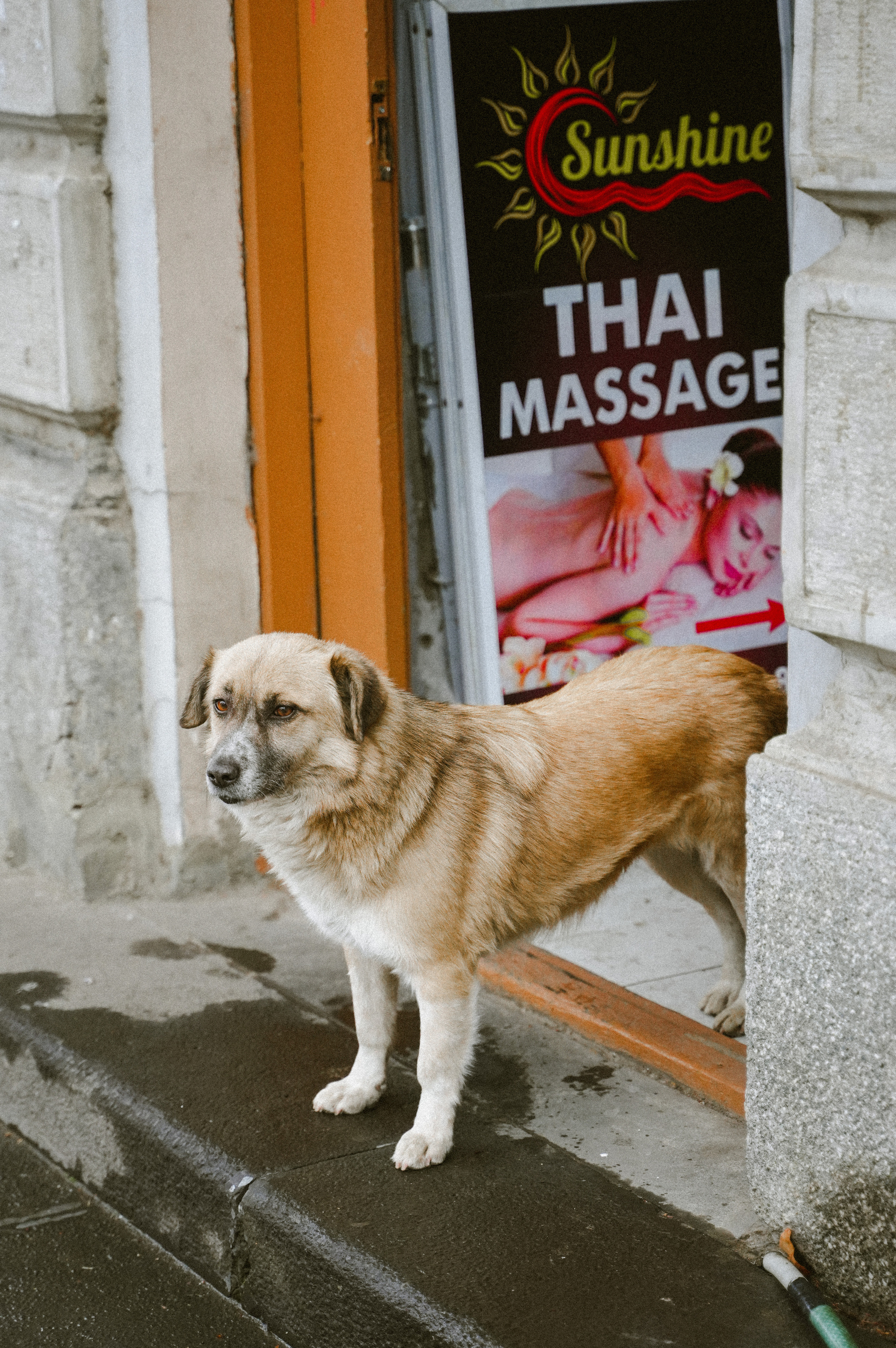 ТБИЛИСИ 2023-2024. Стрит-фотография, полная абсурда, идиотизма и красоты