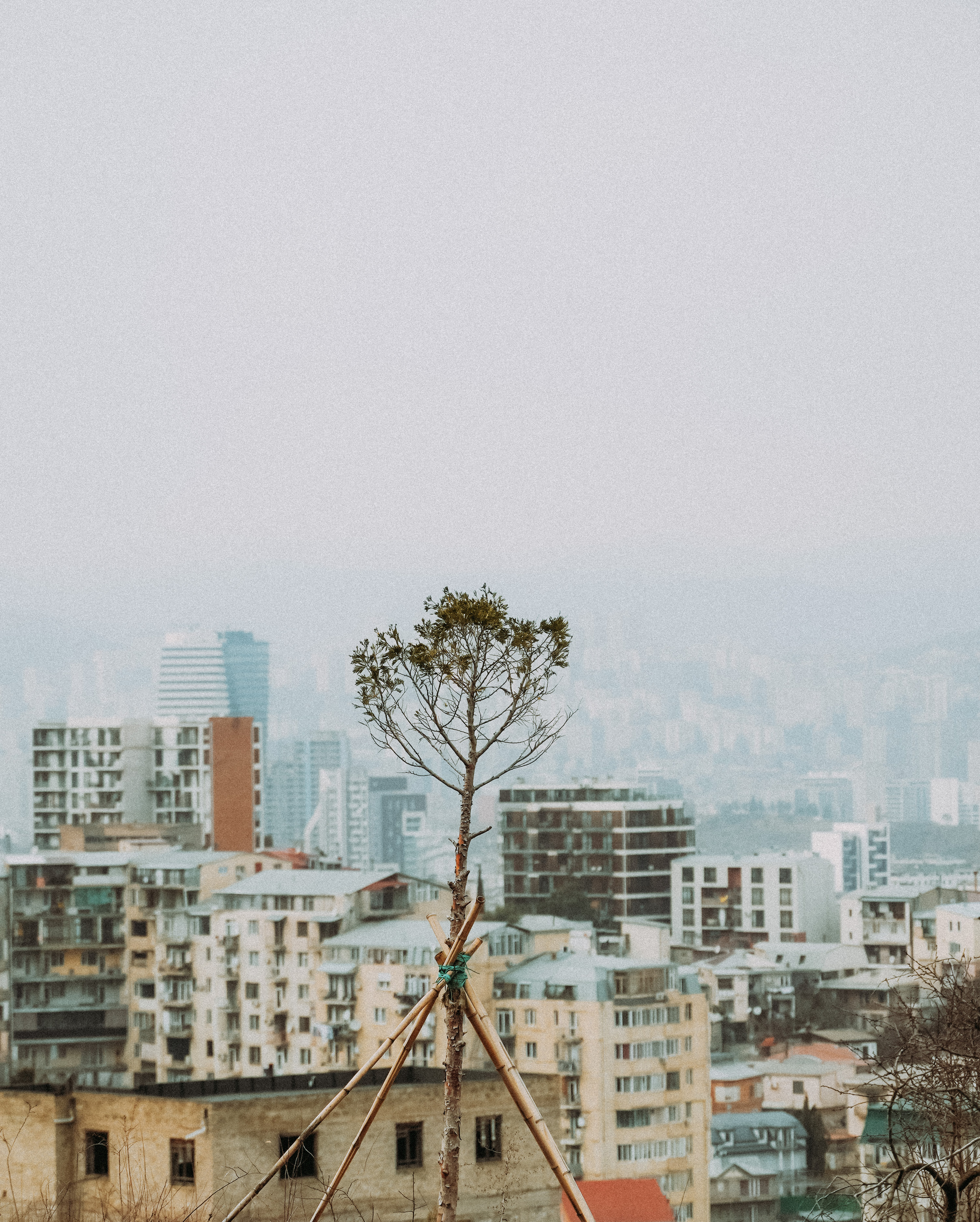 ТБИЛИСИ 2023-2024. Стрит-фотография, полная абсурда, идиотизма и красоты