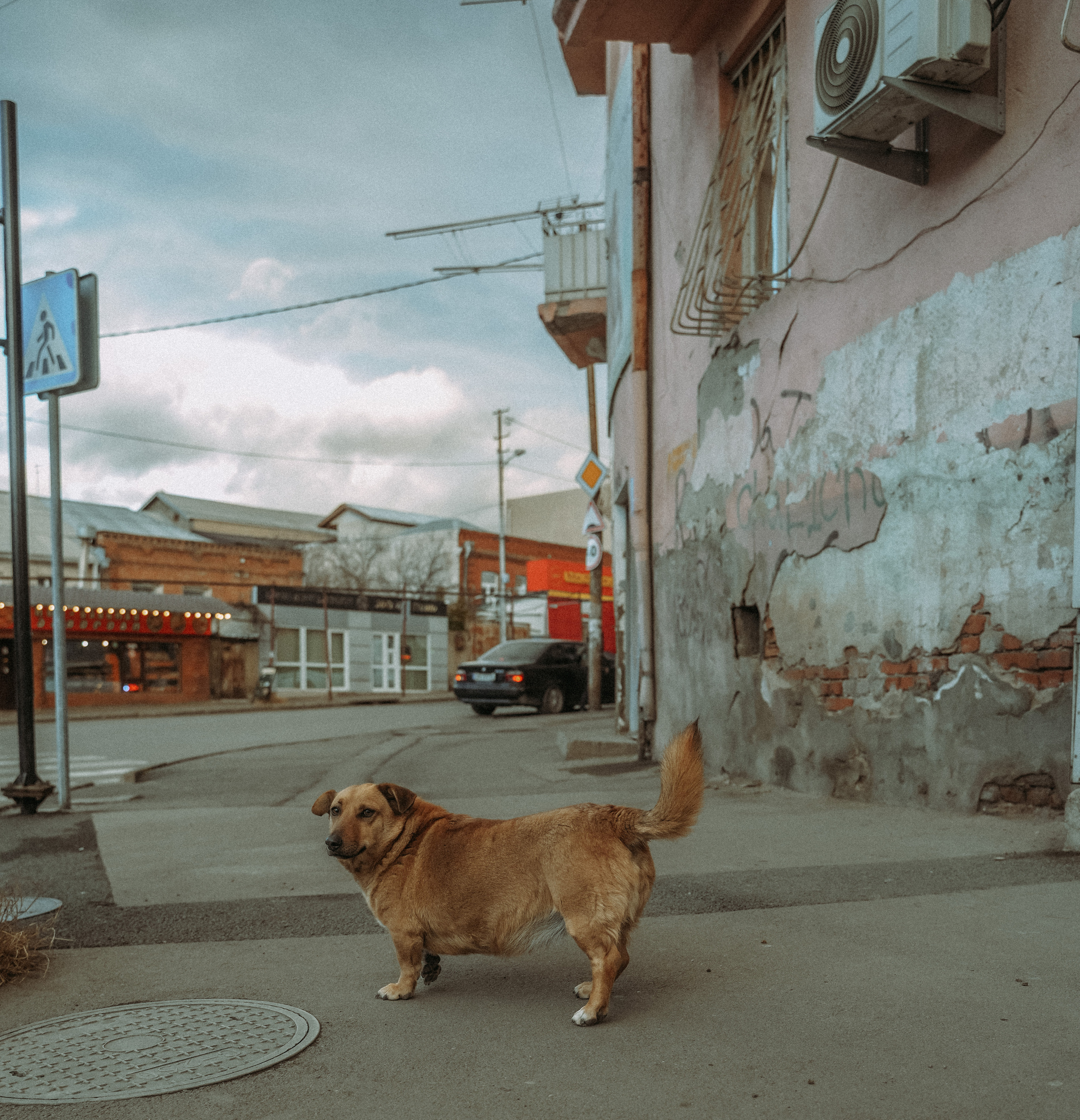 ТБИЛИСИ 2023-2024. Стрит-фотография, полная абсурда, идиотизма и красоты