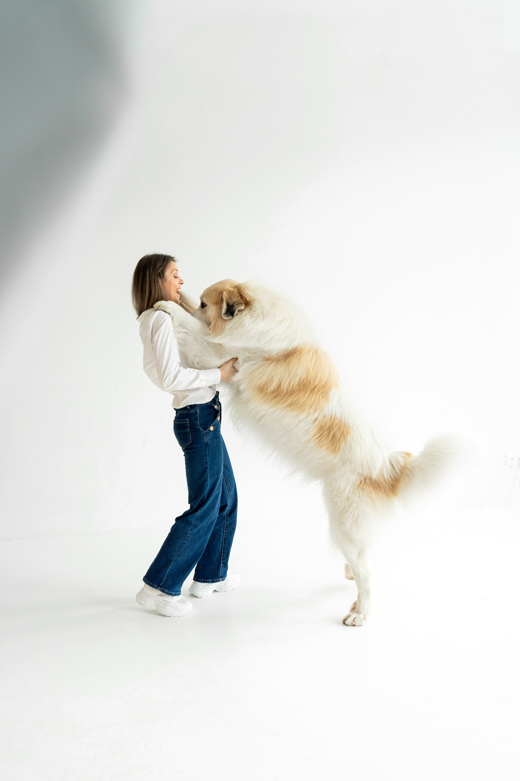 Poros ir jų šuns fotosesija studijoje Vilniuje. Vita Klimaševska ○ Fluffy Soulmate Photography