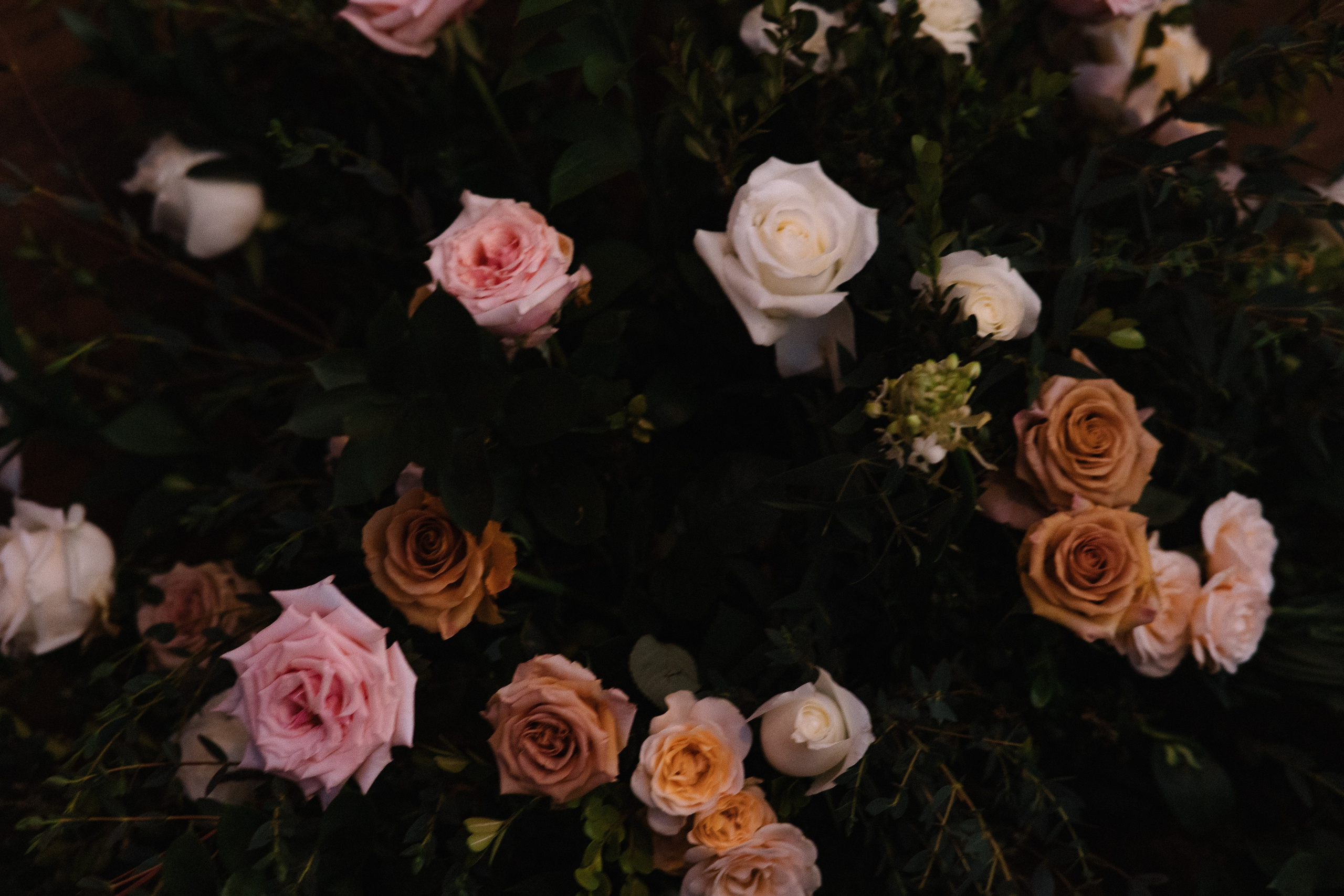 Villa del Oso, Sayulita. Wedding photographer Mexico Sayulita Puerto Vallarta Punta Mita Cabo