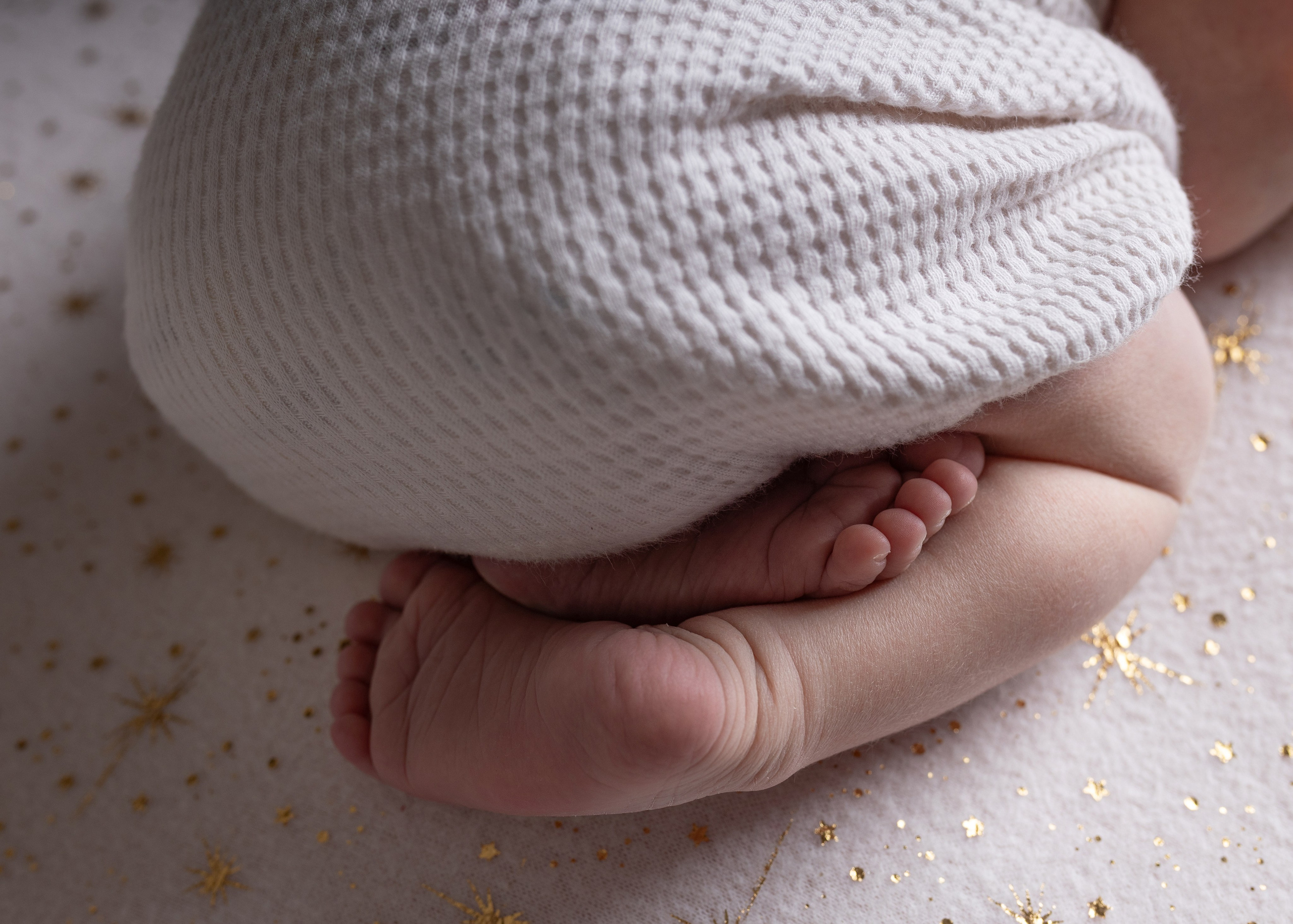 Каталог 24 Newborn. Катерина Шустерман — фотограф Newborn, семейный в Израиле