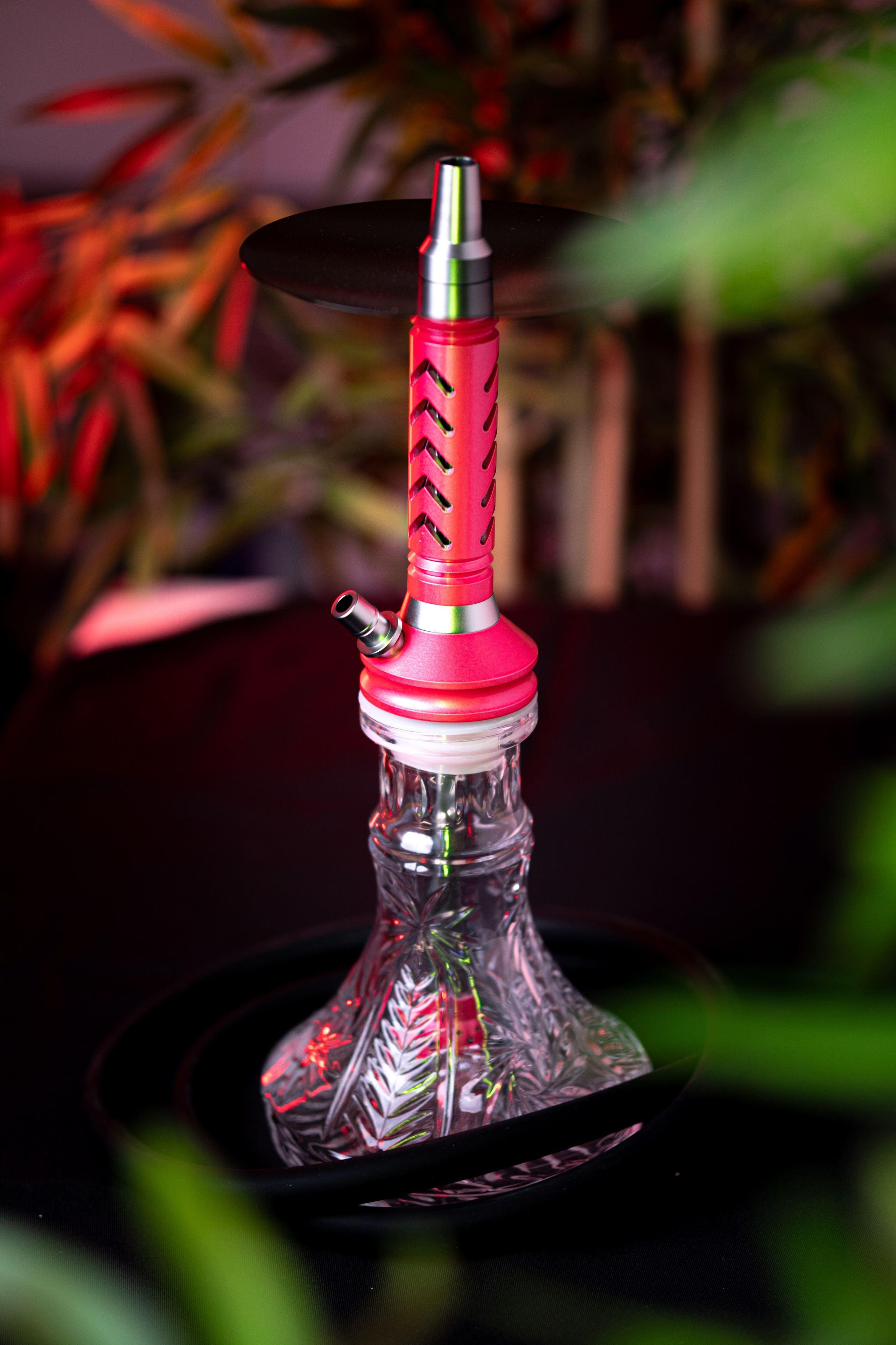 Cachimbas. Baby Beast