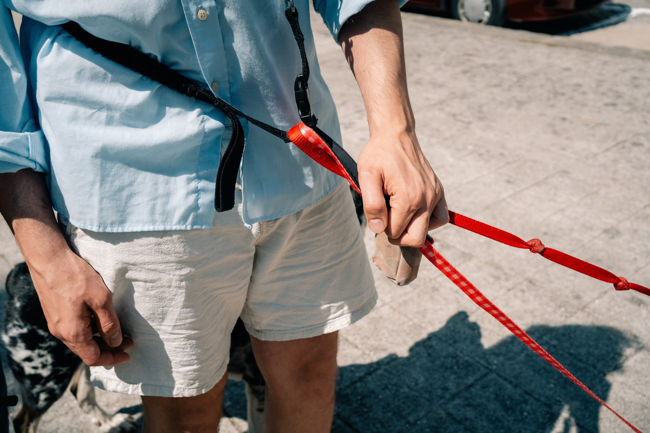 Yana & Pedro & Doggos. Maria Sher. Professional photographer from Porto, Portugal