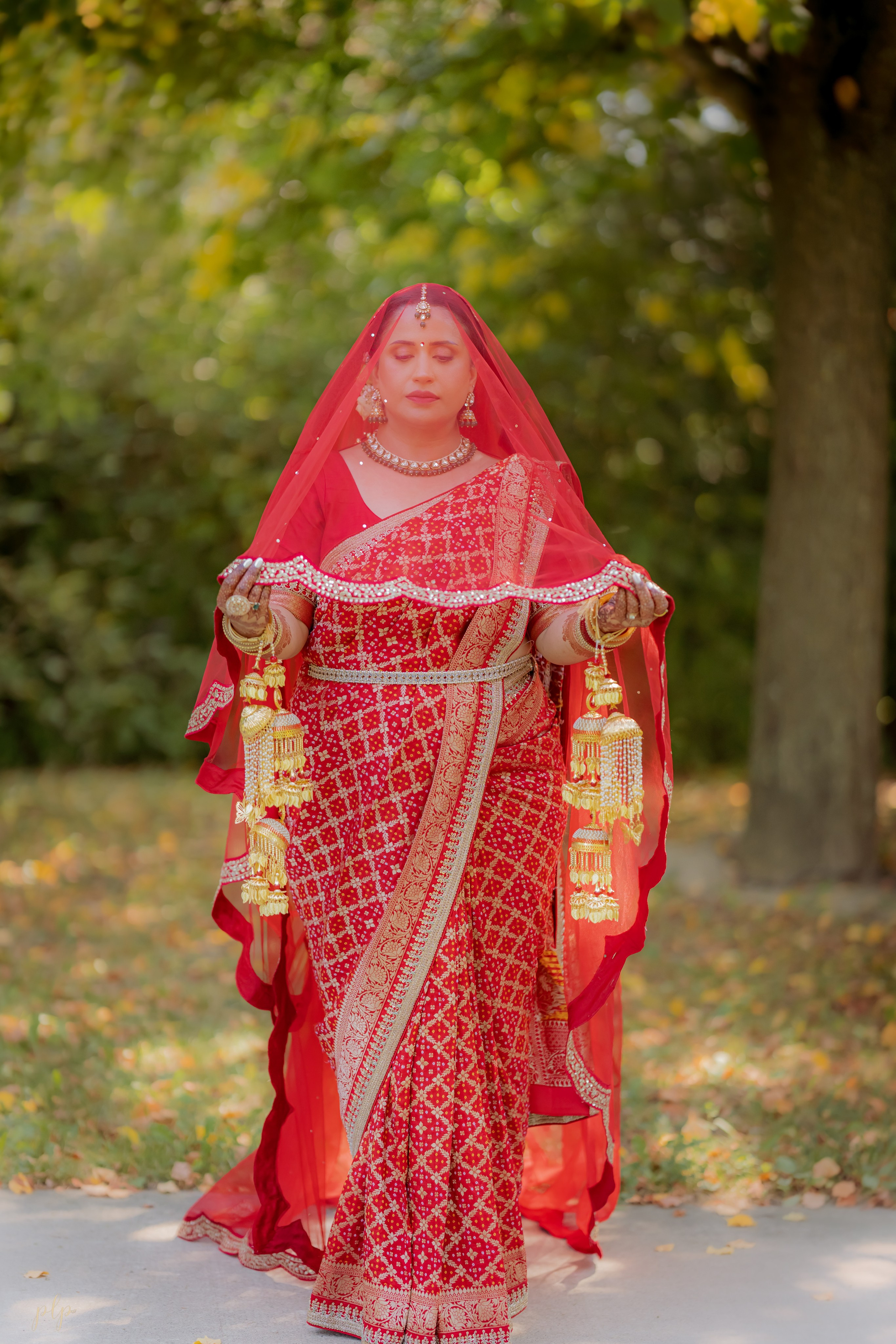 Arti & Dan. Wedding Photographers and Filmmakers