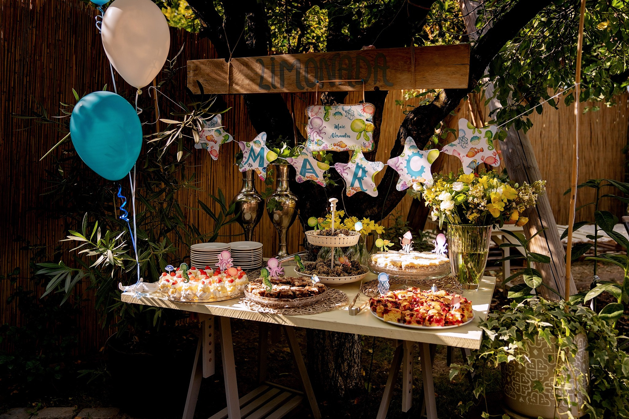 Marc Alexandru. Fotograf evenimente. Fotograf nunta. Fotograf Botez. Mihaela Savu