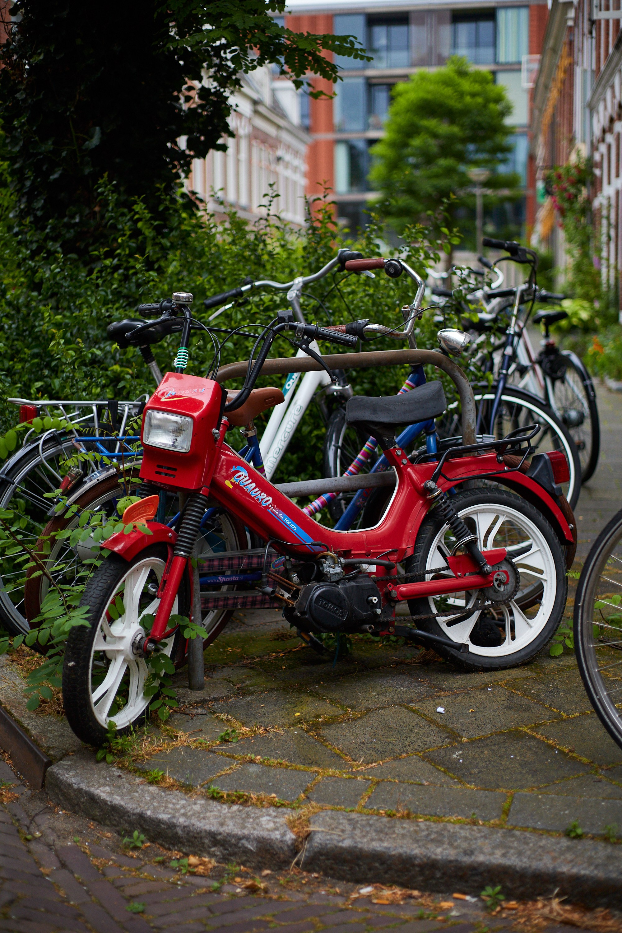 Street. Personal, fashion, business Photographer in Netherlands