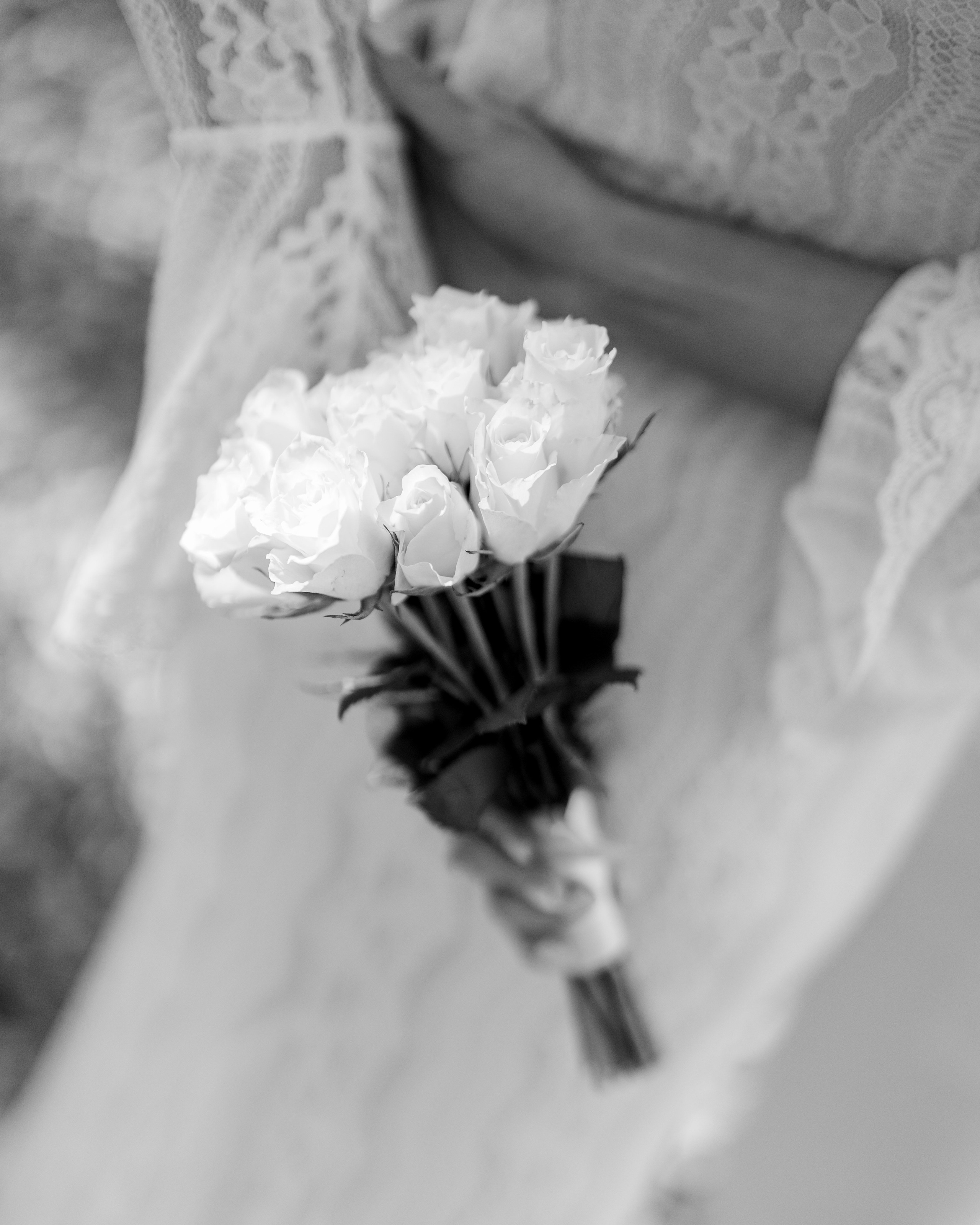 Andrei x Andreea — Save the Date