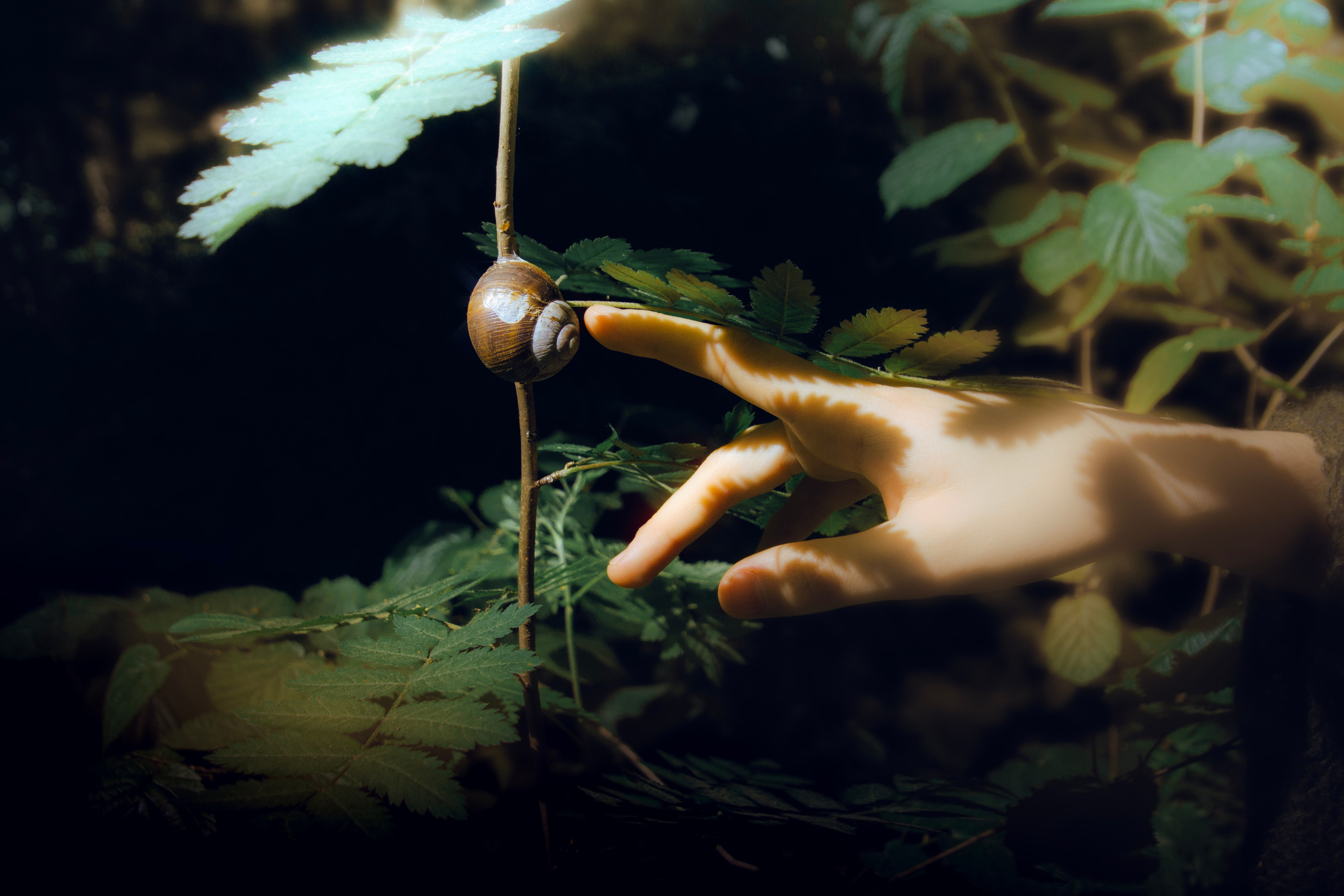 Фотограф Яна Болотова