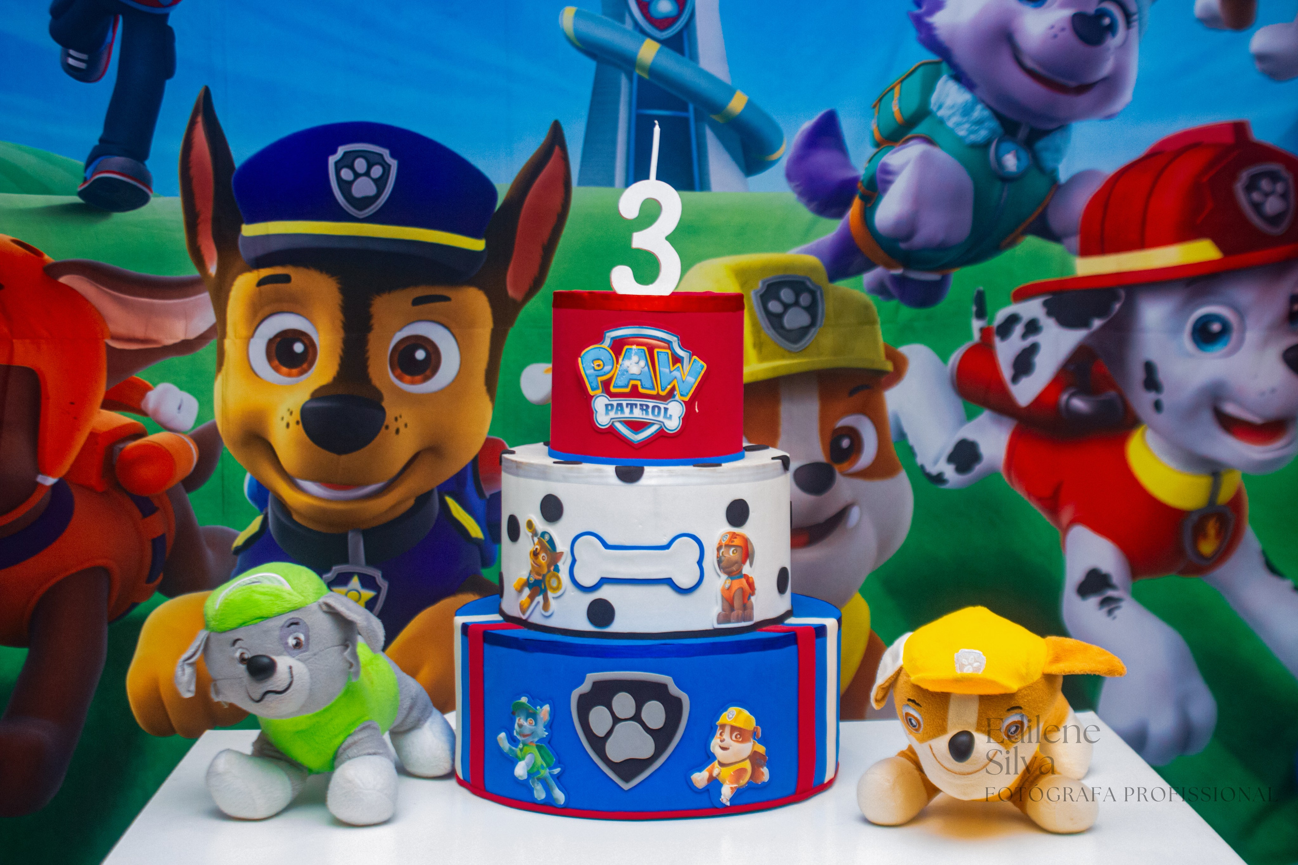 Festa Infantil. Edilene Silva Fotografa Profissional