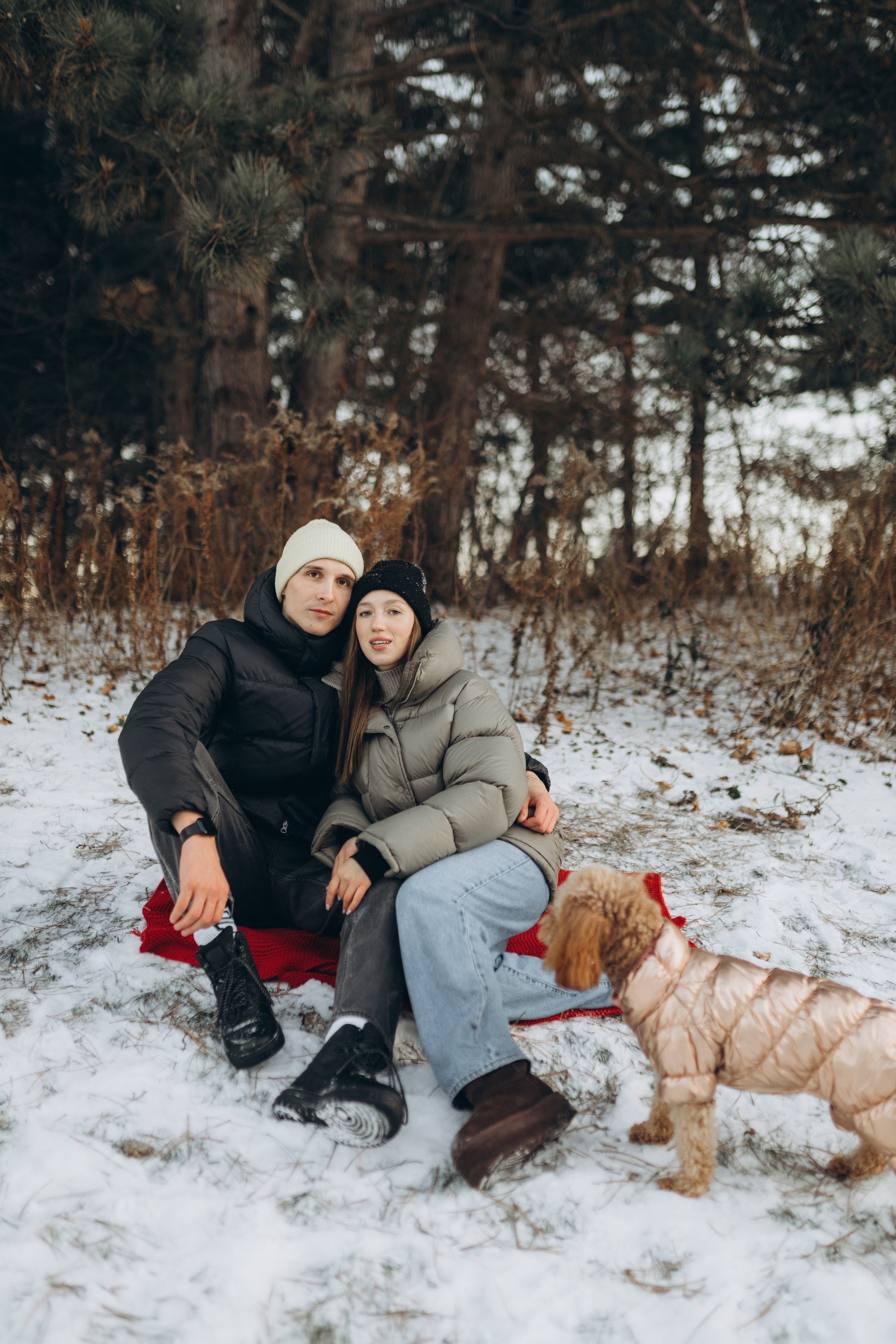 Winter magic. Chernenko.photography