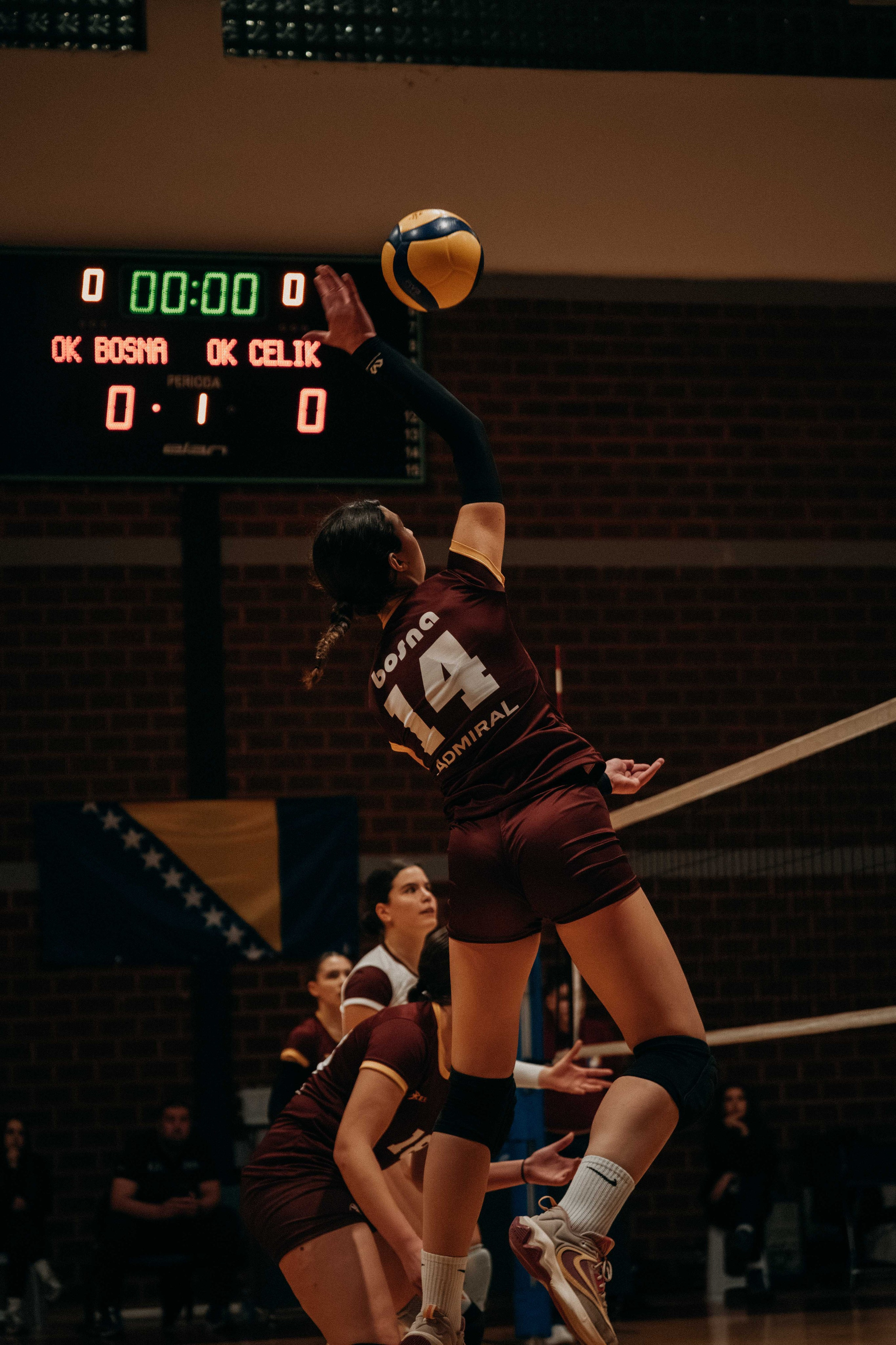 ŽOK Bosna — 2025/2026