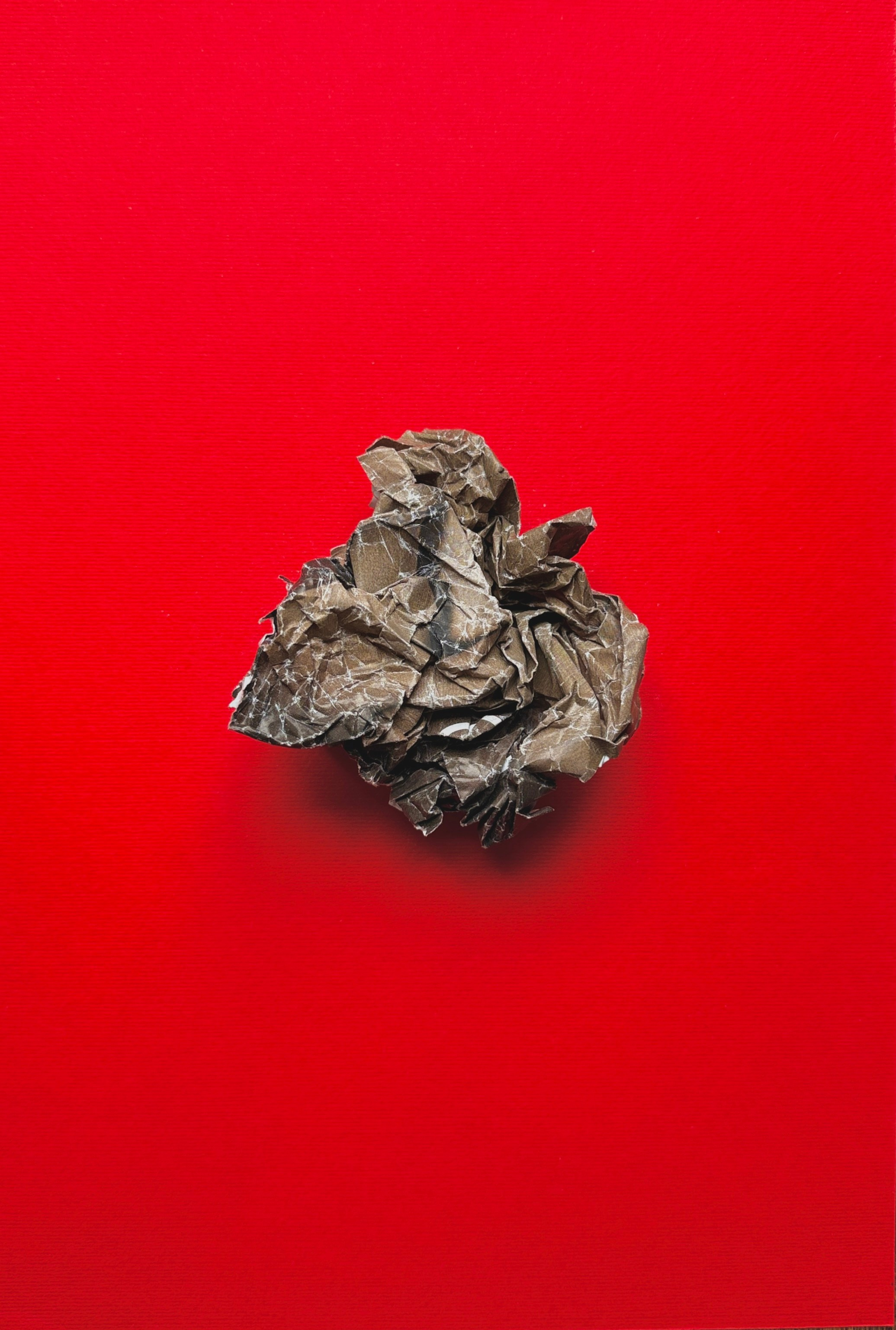 Analog collages. Photographer, photo artist Alena Novgorodtseva