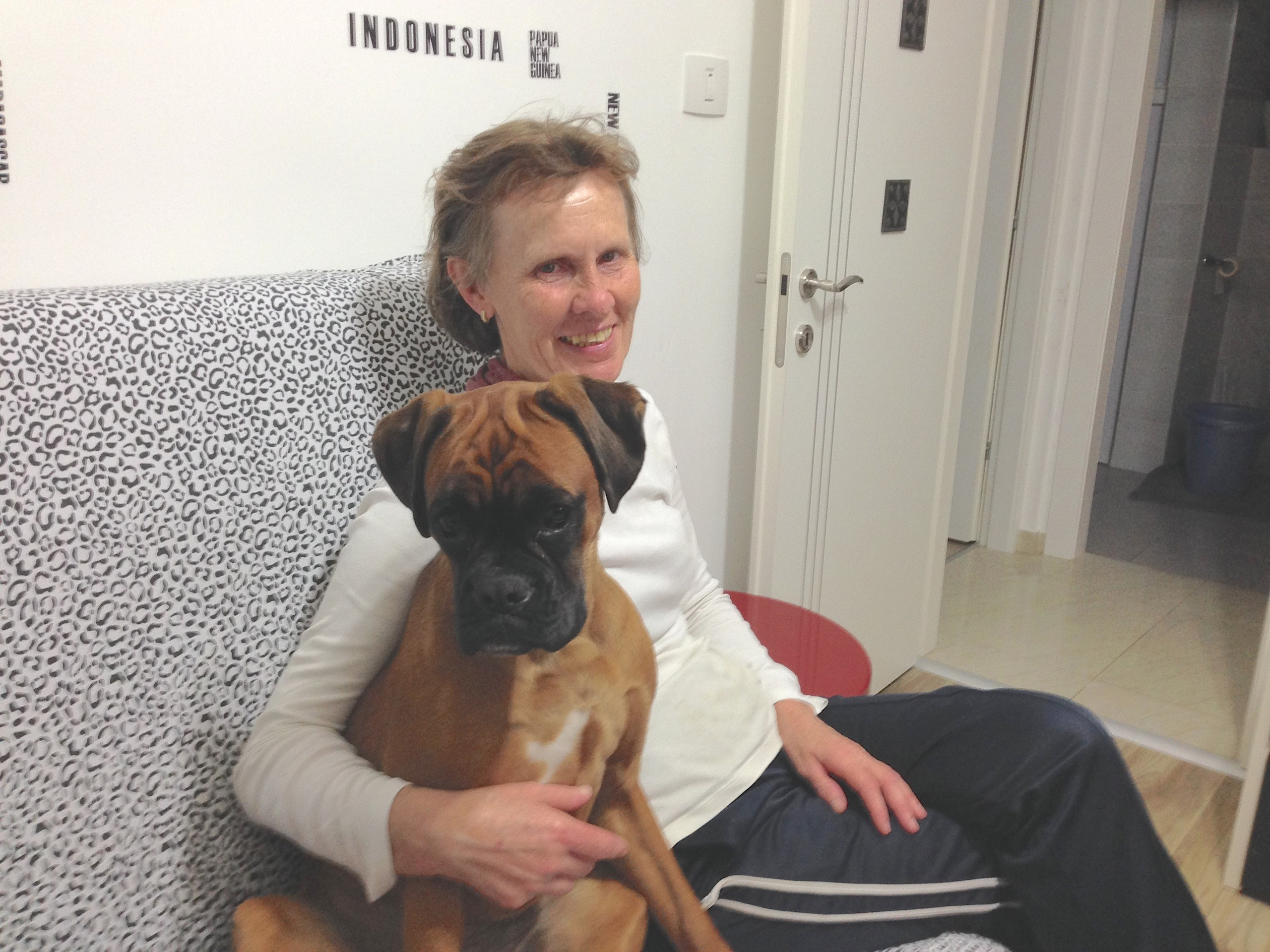 My ״Star״ Boxer Dog