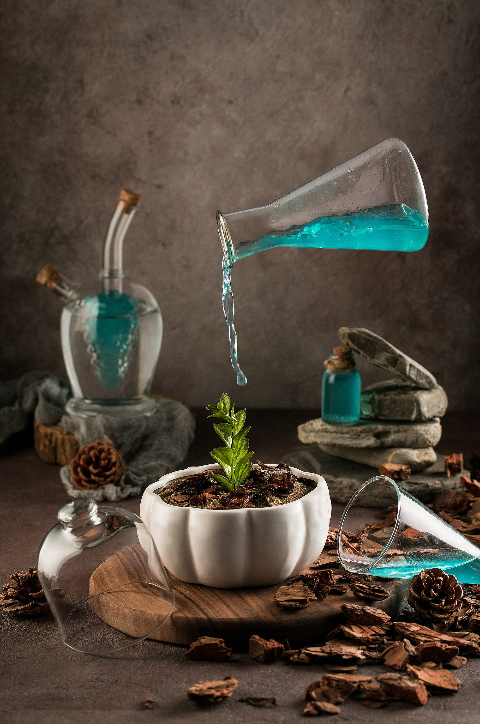 kreativ sosial mesaj verən konseptual foto, dibçəkdə bitkiyə lobaratoriya şüşələrindən su verilir