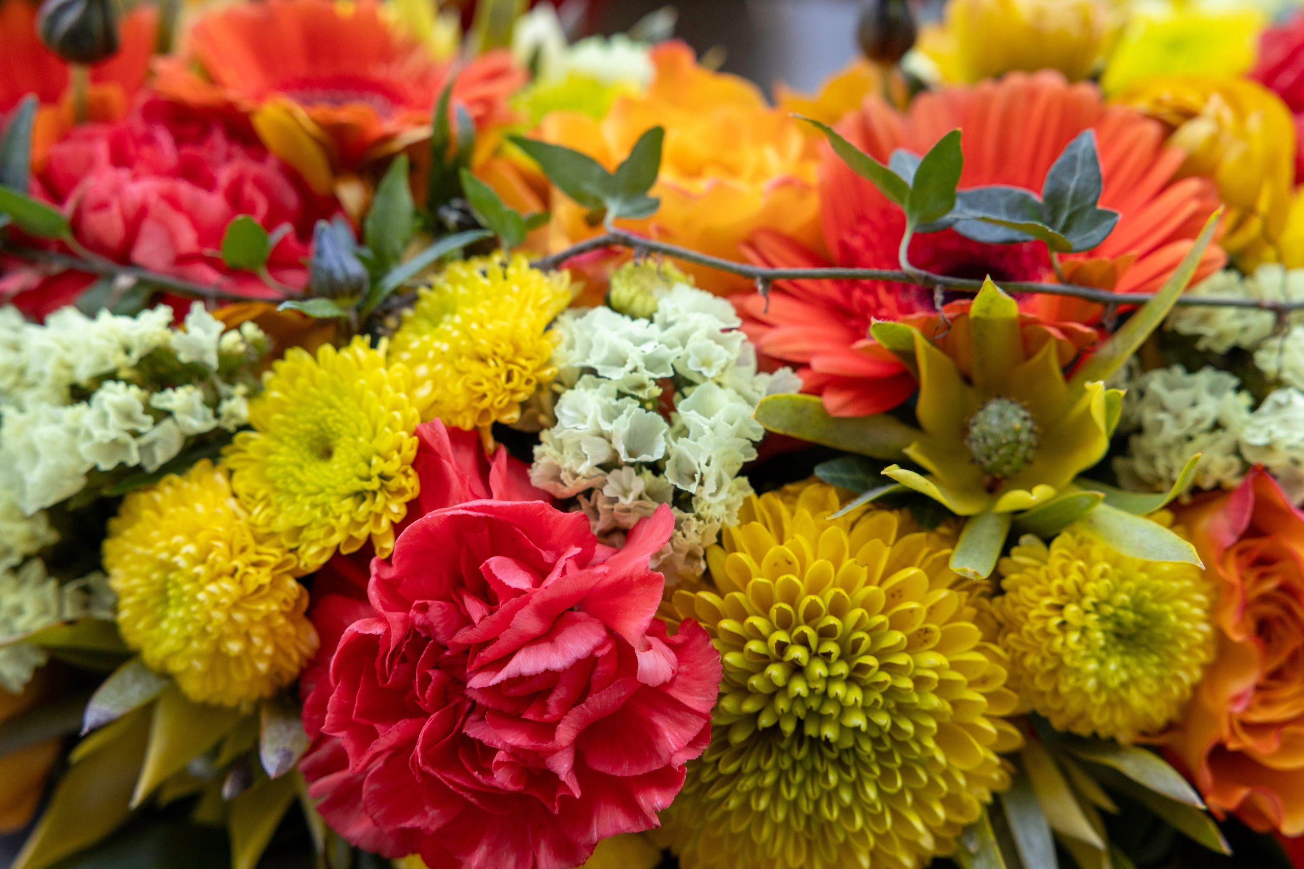 Smuk begravelseskrans i varme og livlige farver med gerbera, roser og sæsonens blomster. Håndlavet af Akropolis Blomster som en personlig sidste hilsen fyldt med kærlighed, respekt og taknemmelighed.