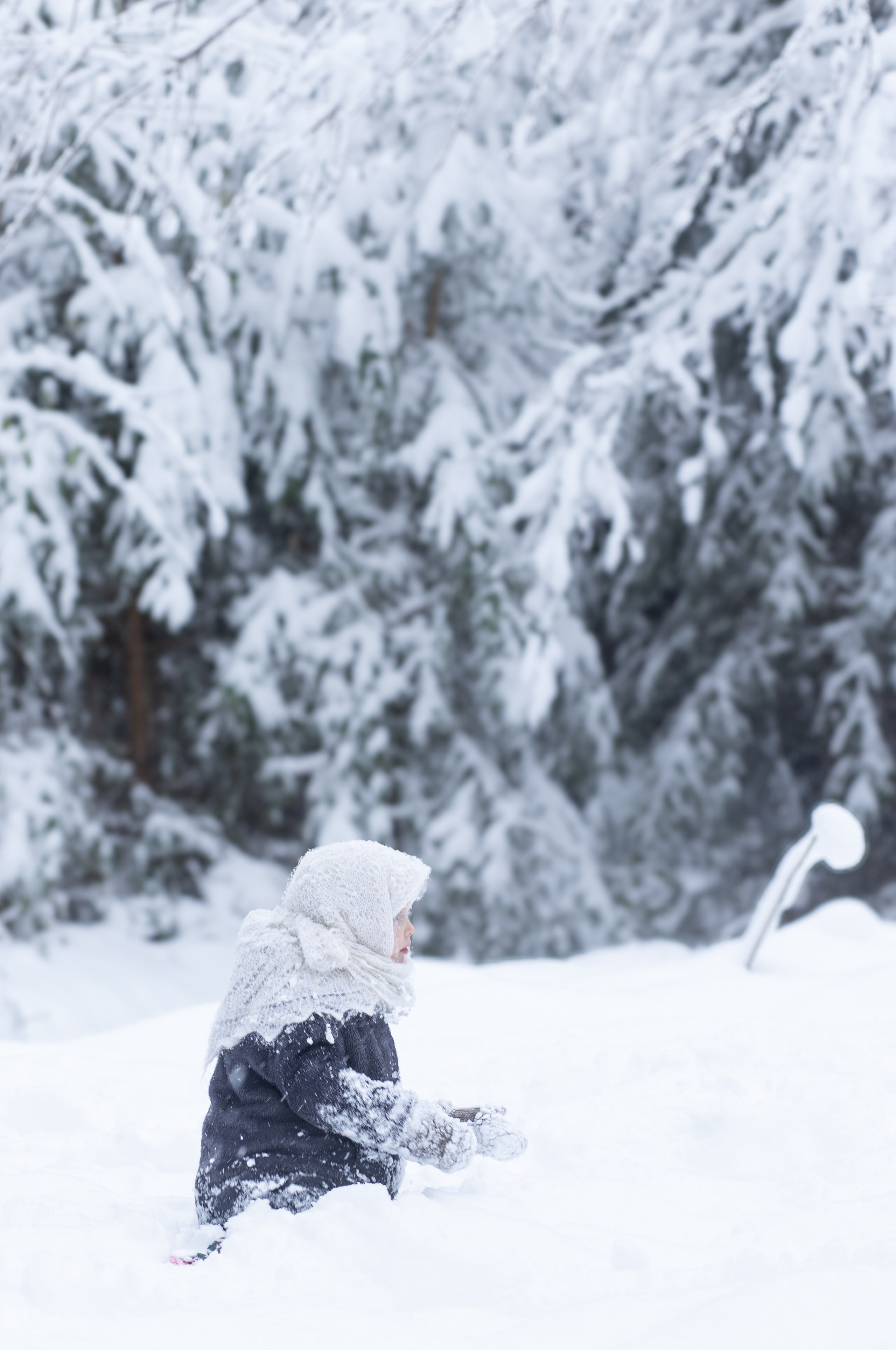 Ein Weihnachtsmärchen. Olena Fritz Fotografie